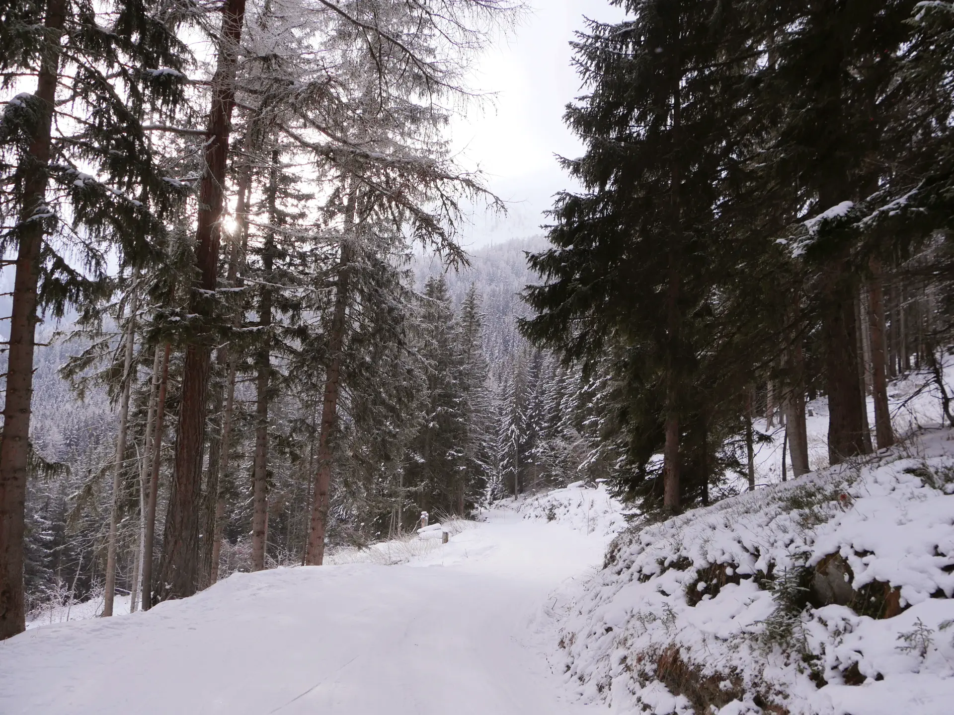 Sentier raquette N°2 - La Tzoumaz