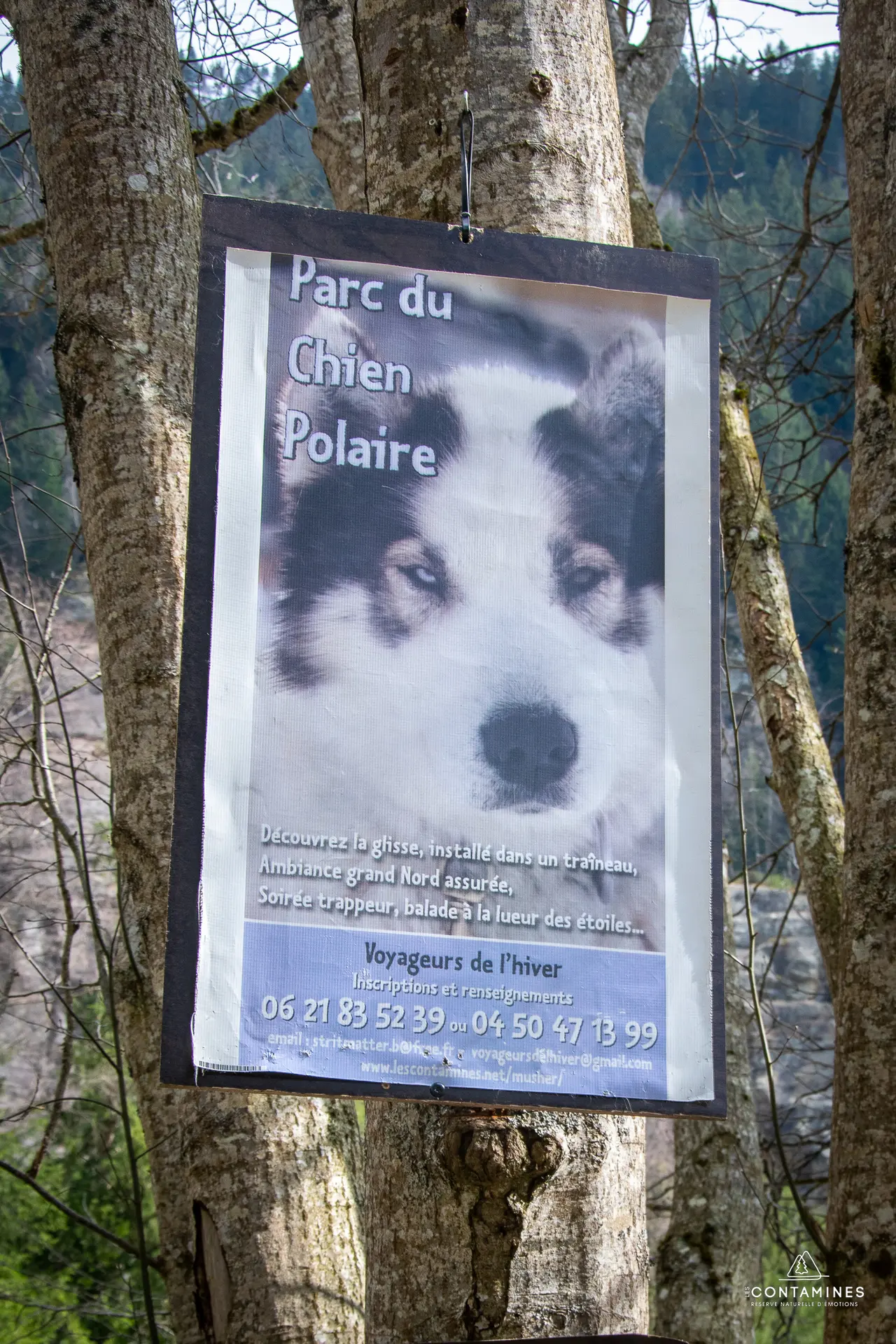 Visite du parc du chien polaire
