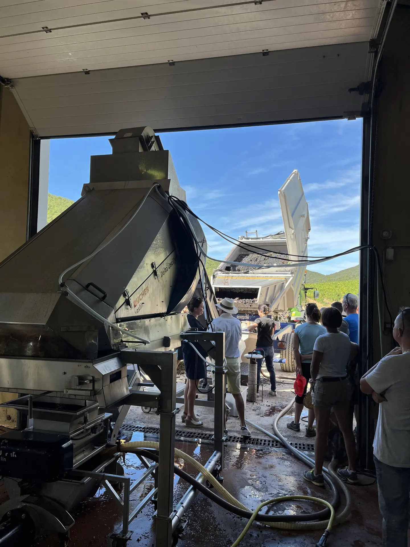 Journée découverte des vendanges au Château Pas du Cerf à La Londe