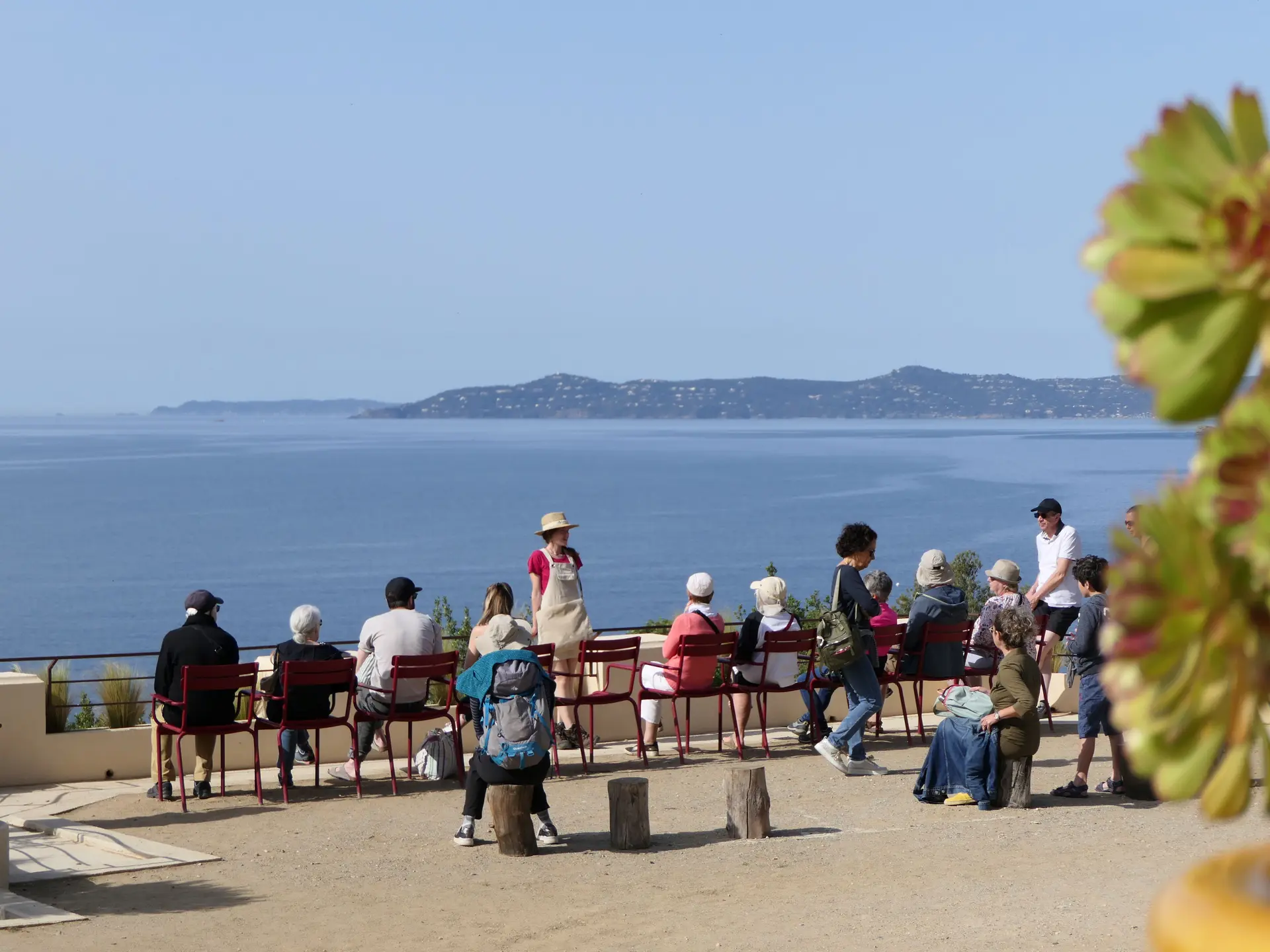 Visite guidée du Jardin des Méditerranées