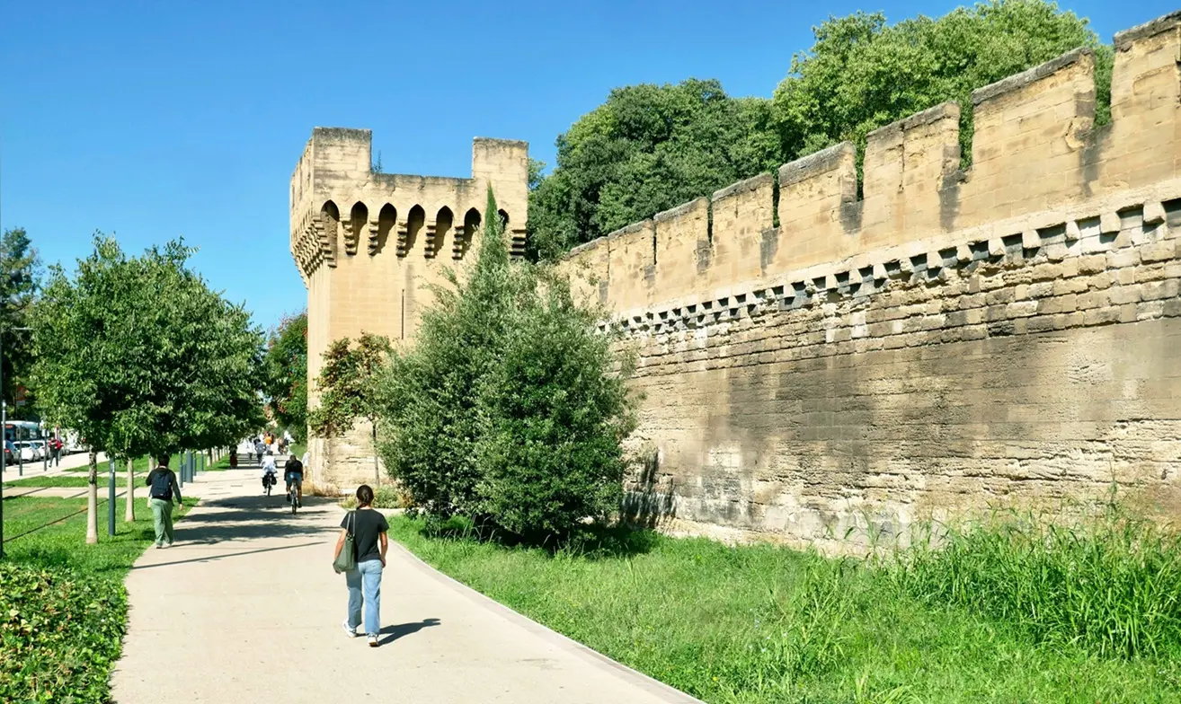 Parcours de l'arbre_Avignon