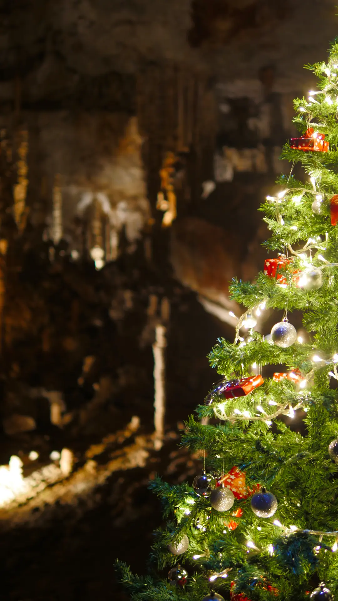 L'Aven d'Orgnac et la Cité de la Préhistoire pour les vacances de Noël