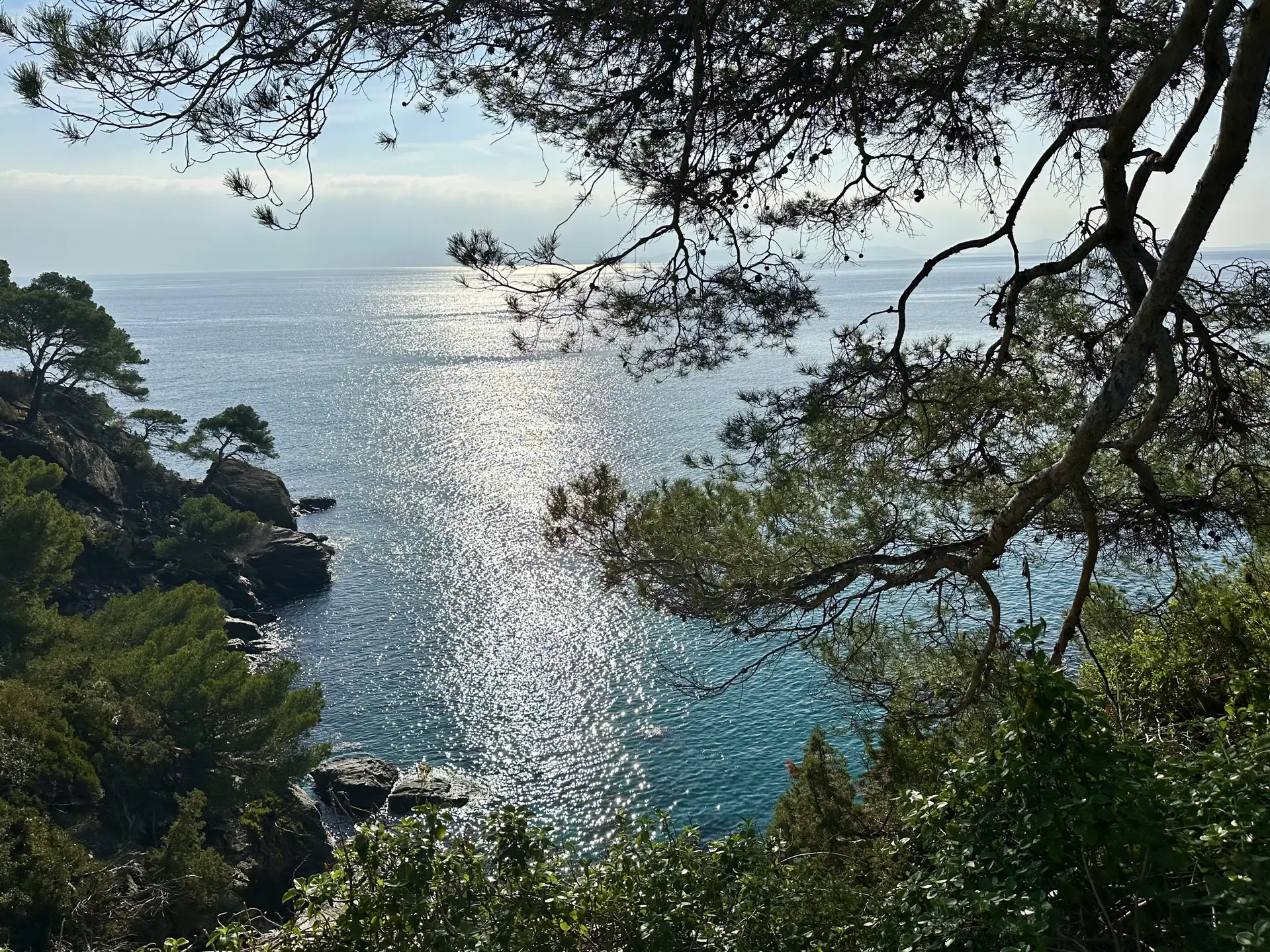Domaine du Rayol