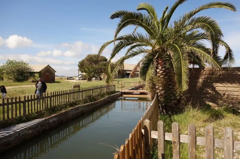 visite guidée au pays du sel salin des pesquiers enfants ludique