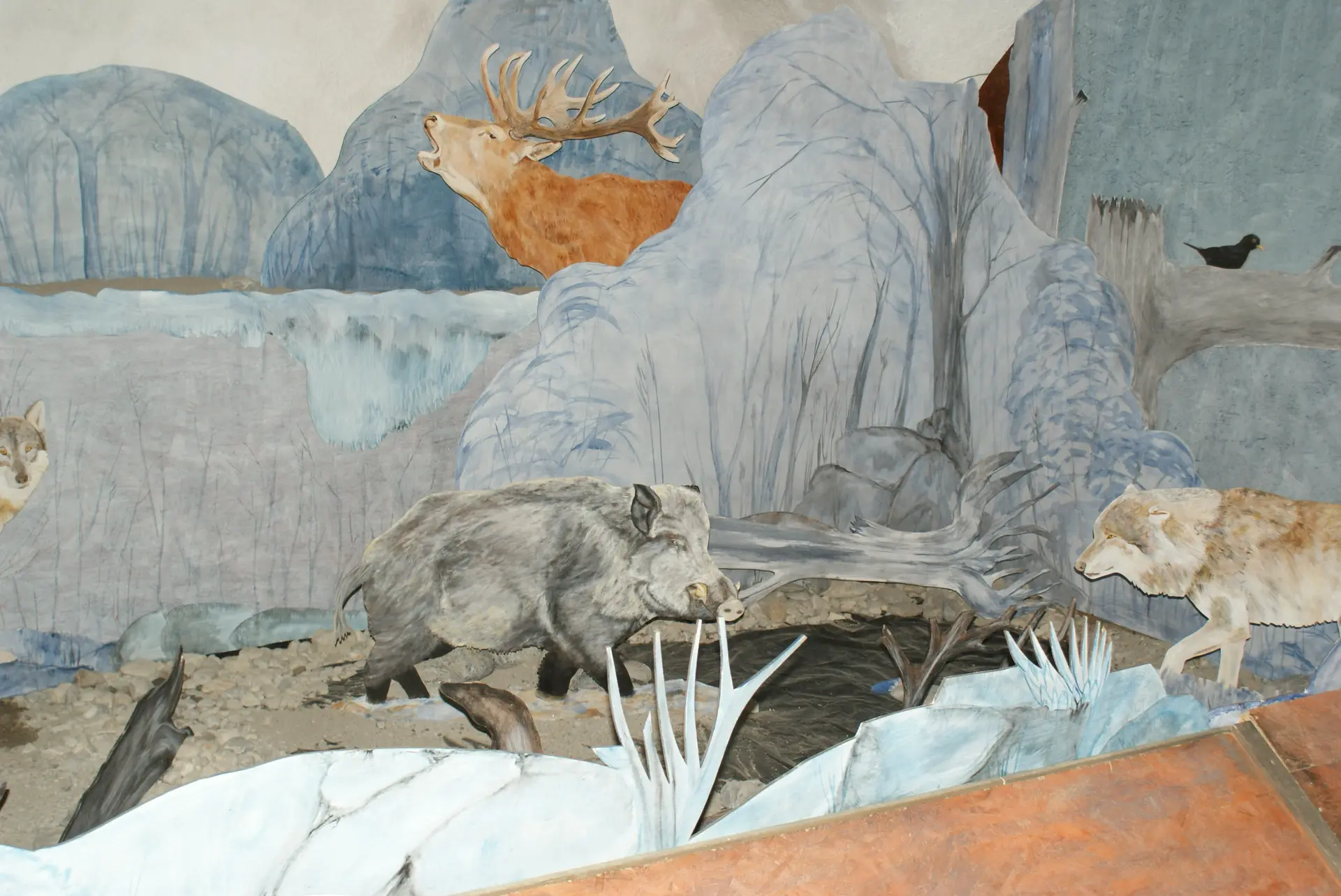 Exposition Les animaux, la nuit