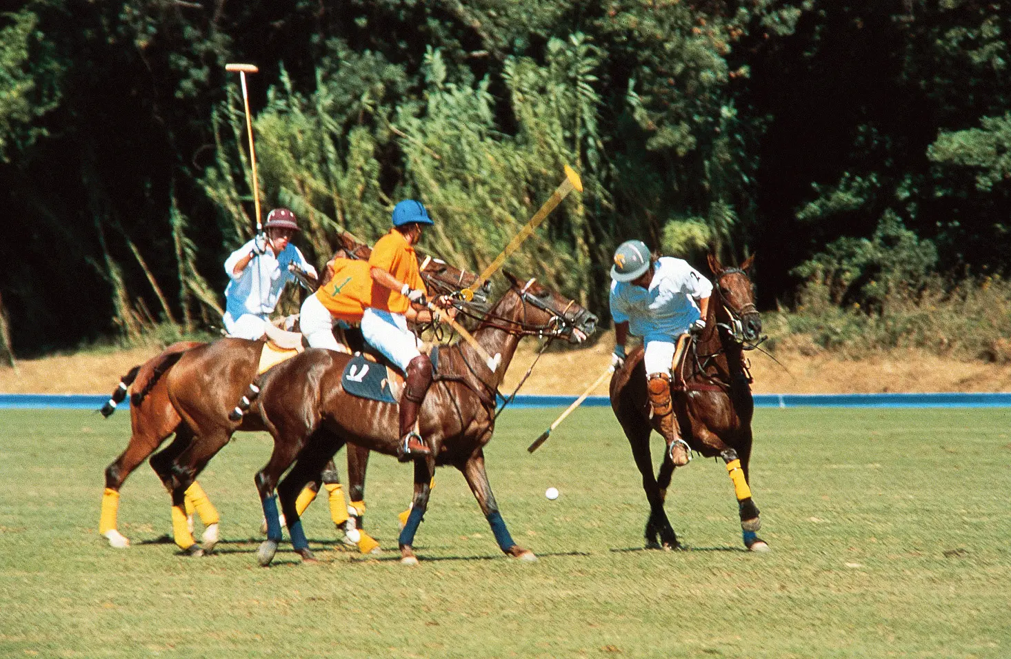 Tournoi de polo