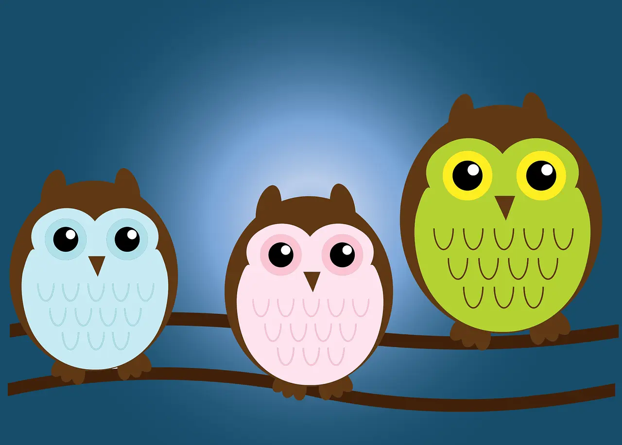 Dessin de 3 chouettes