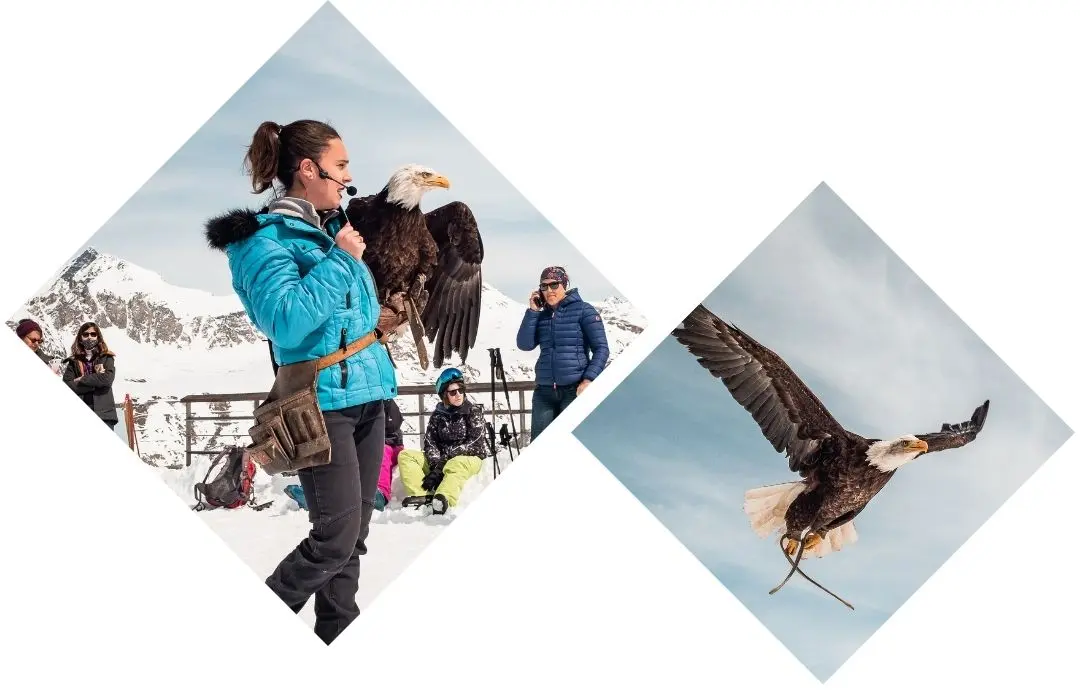 Photo portrait - Les Aigles de Val d’Isère
