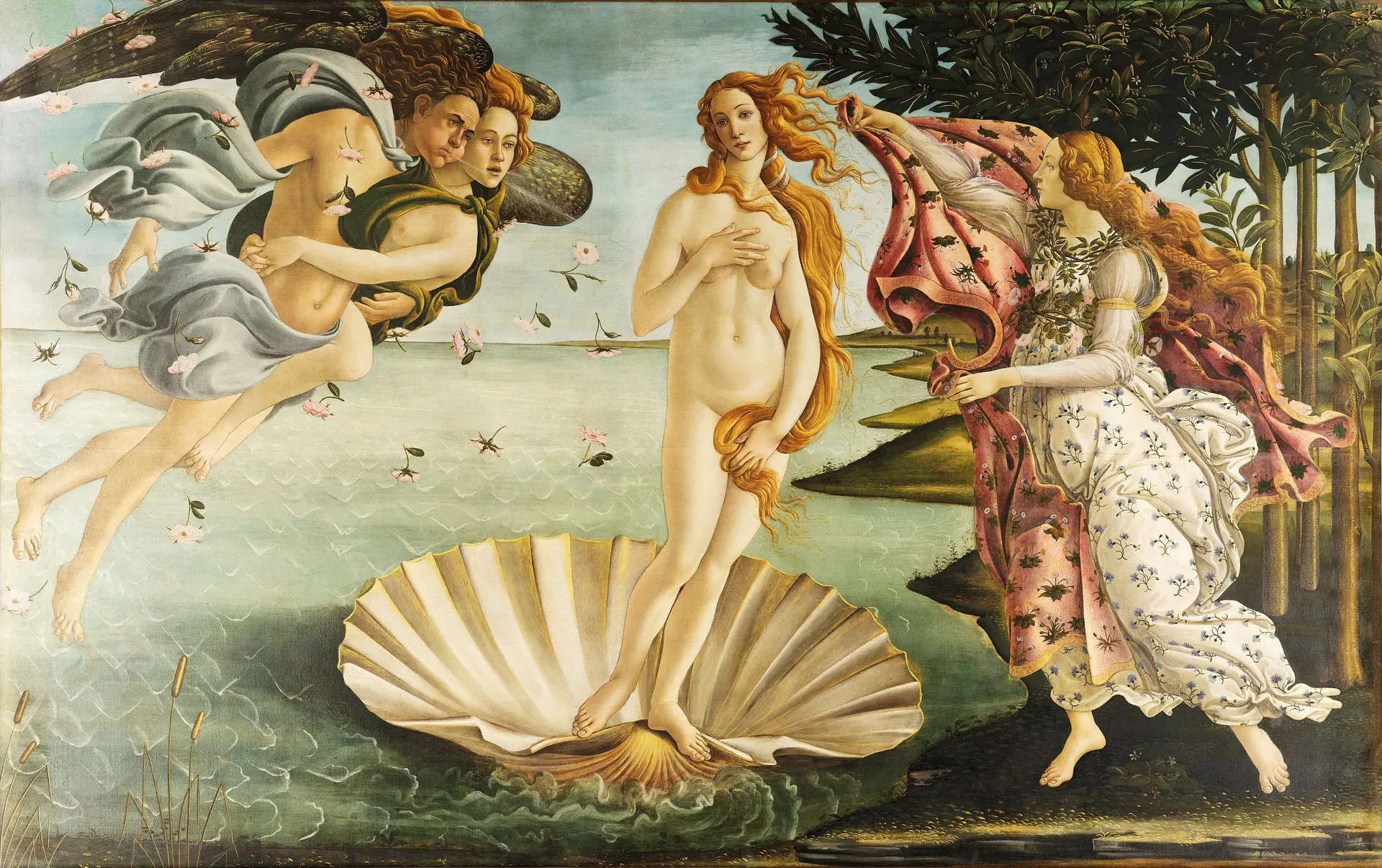 La  naissance de Vénus vers 1485
