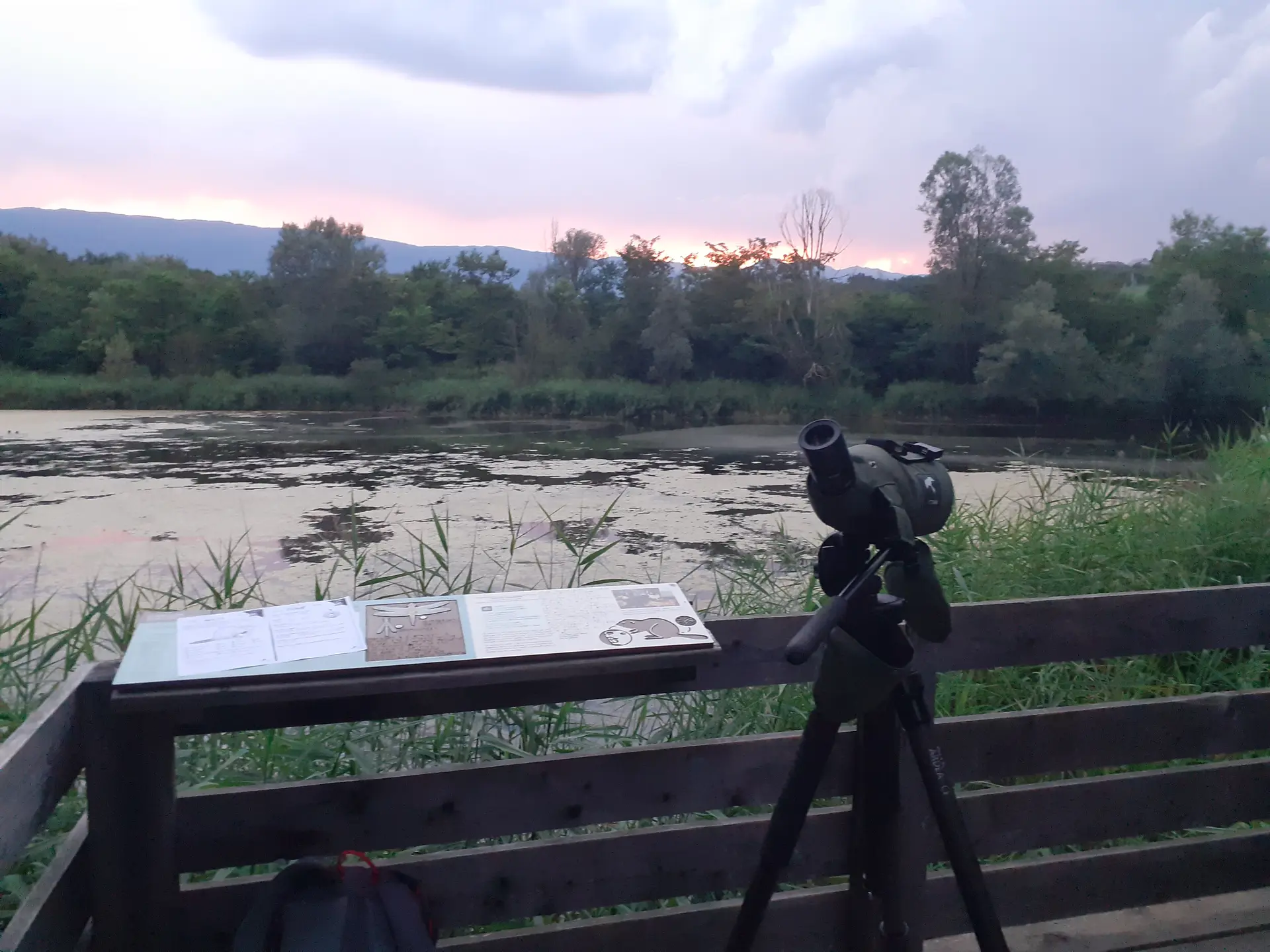 Photo d'une observation au crépuscule