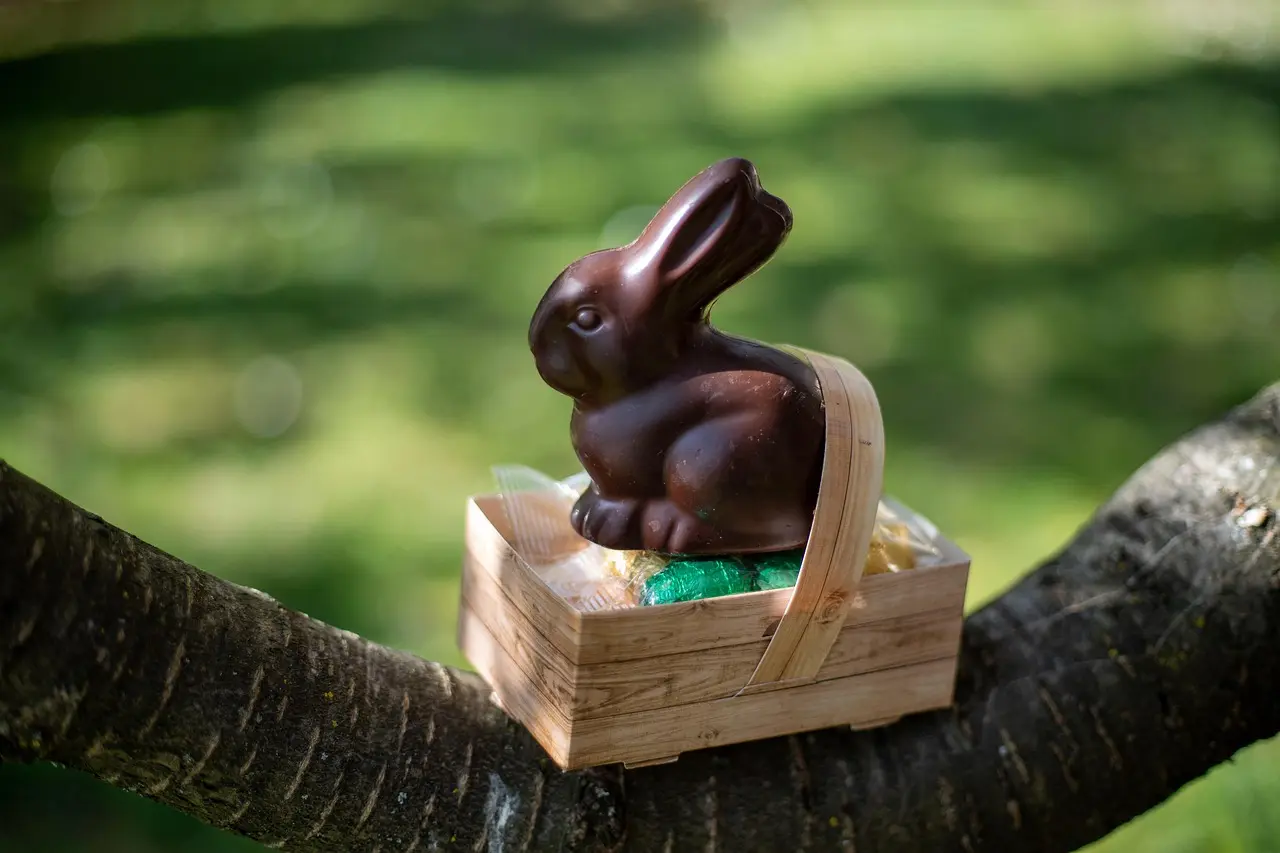 Chasse aux oeuf, photo non contractuelle
