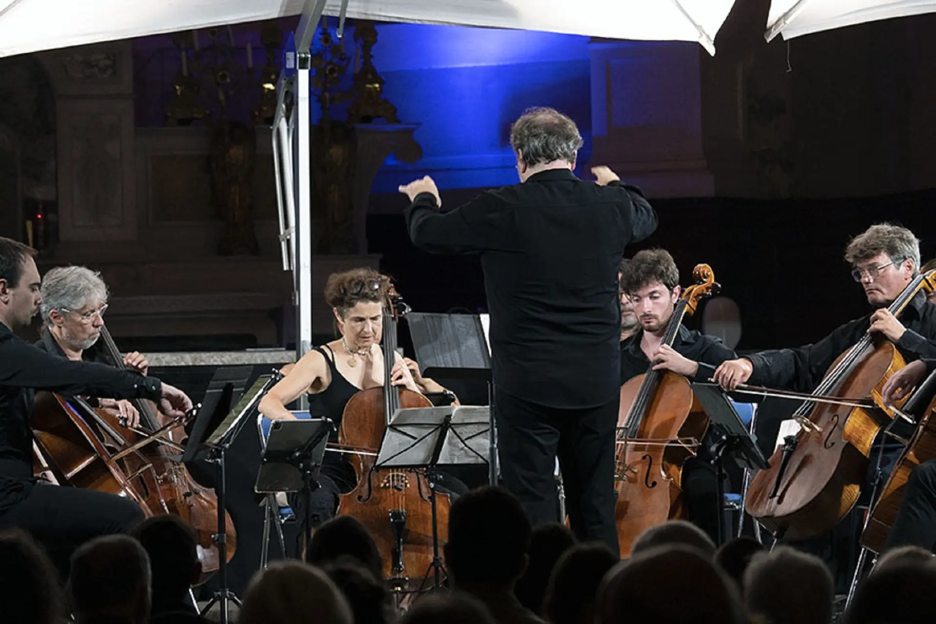 Concert Cello Fan