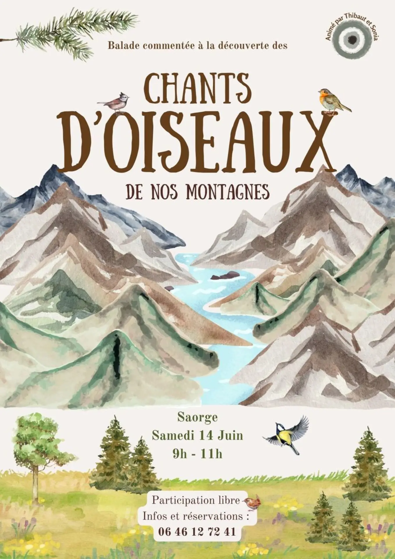 Balade découverte des chants d'oiseaux