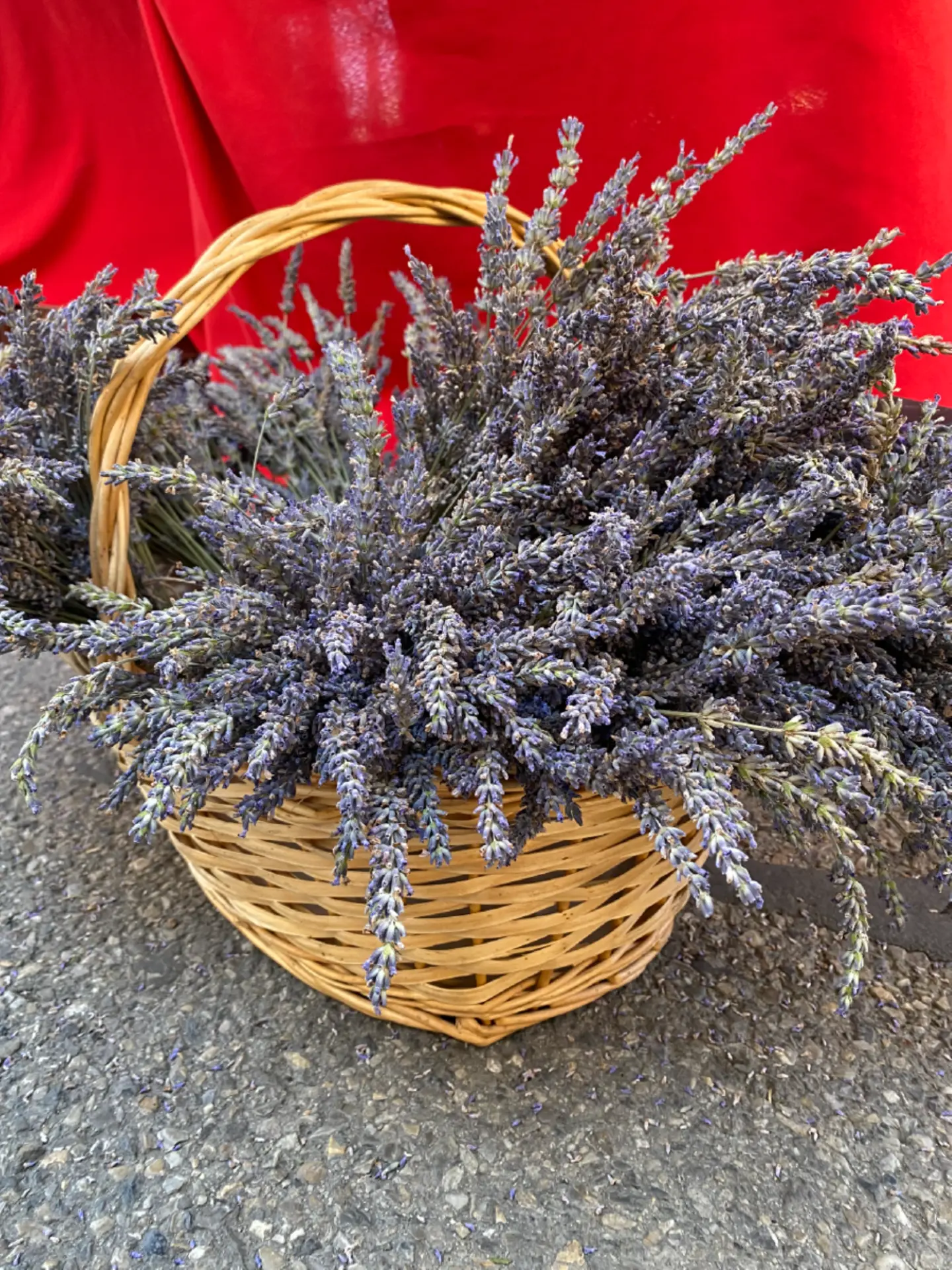 Handwerk & Geschmack der Südalpen 2024