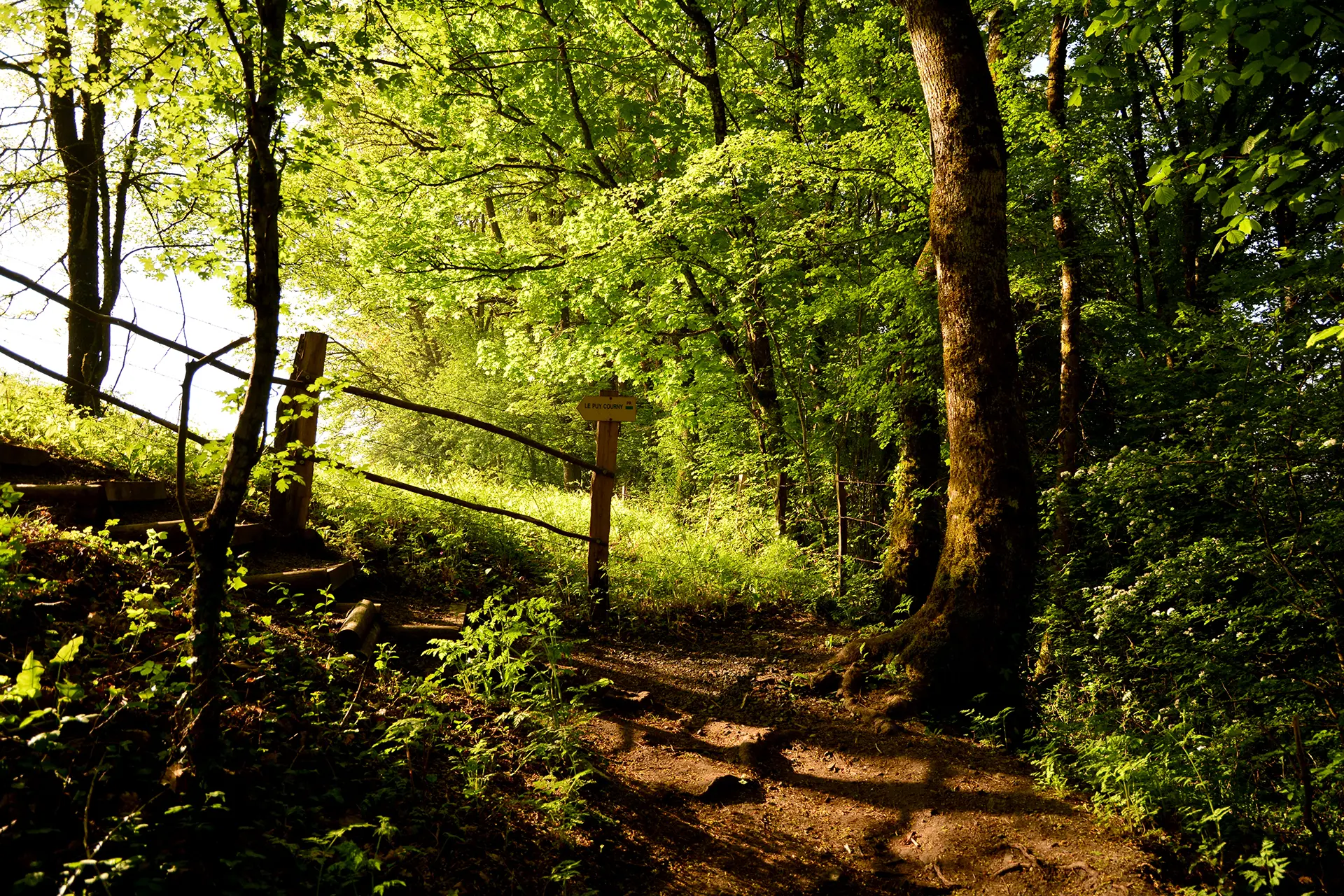 Chemin