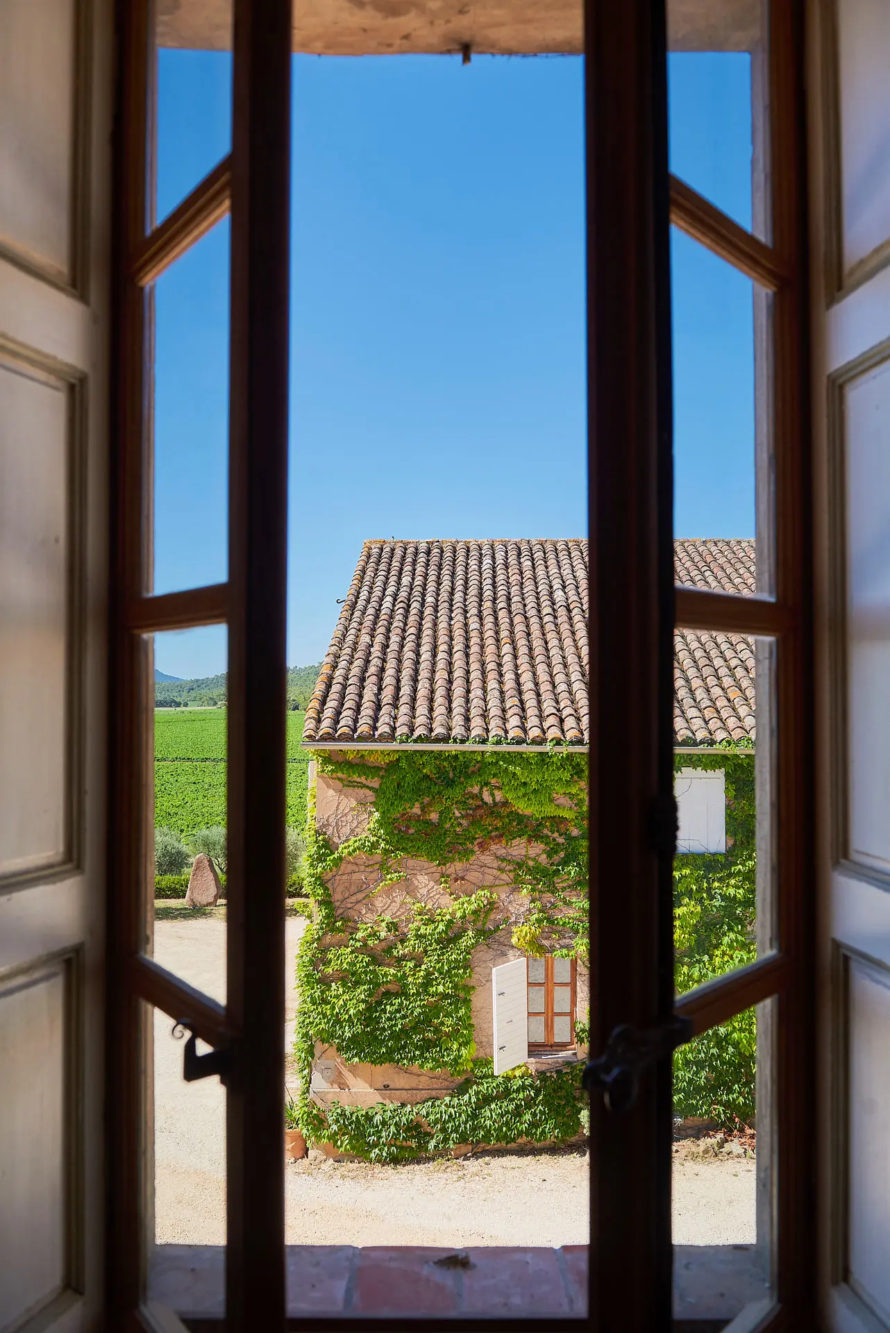 Vin et Energie au Château la tour de l'Evêque