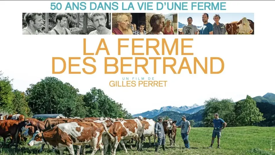 Affiche