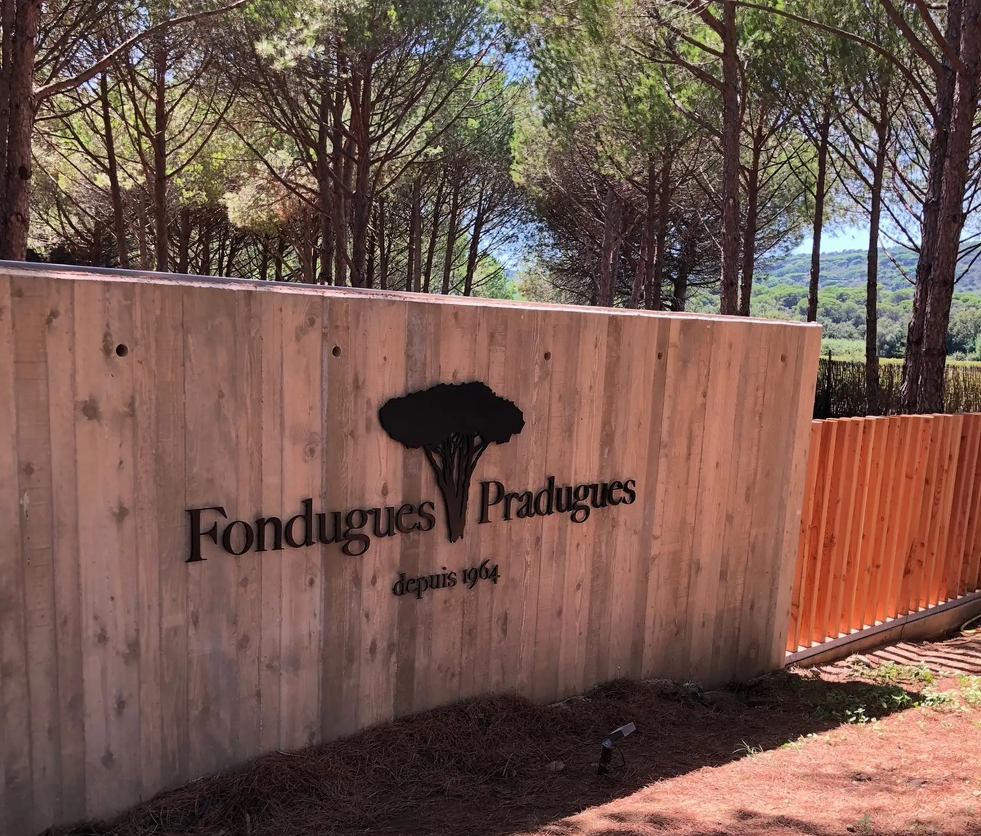 Une bouteille à la mer