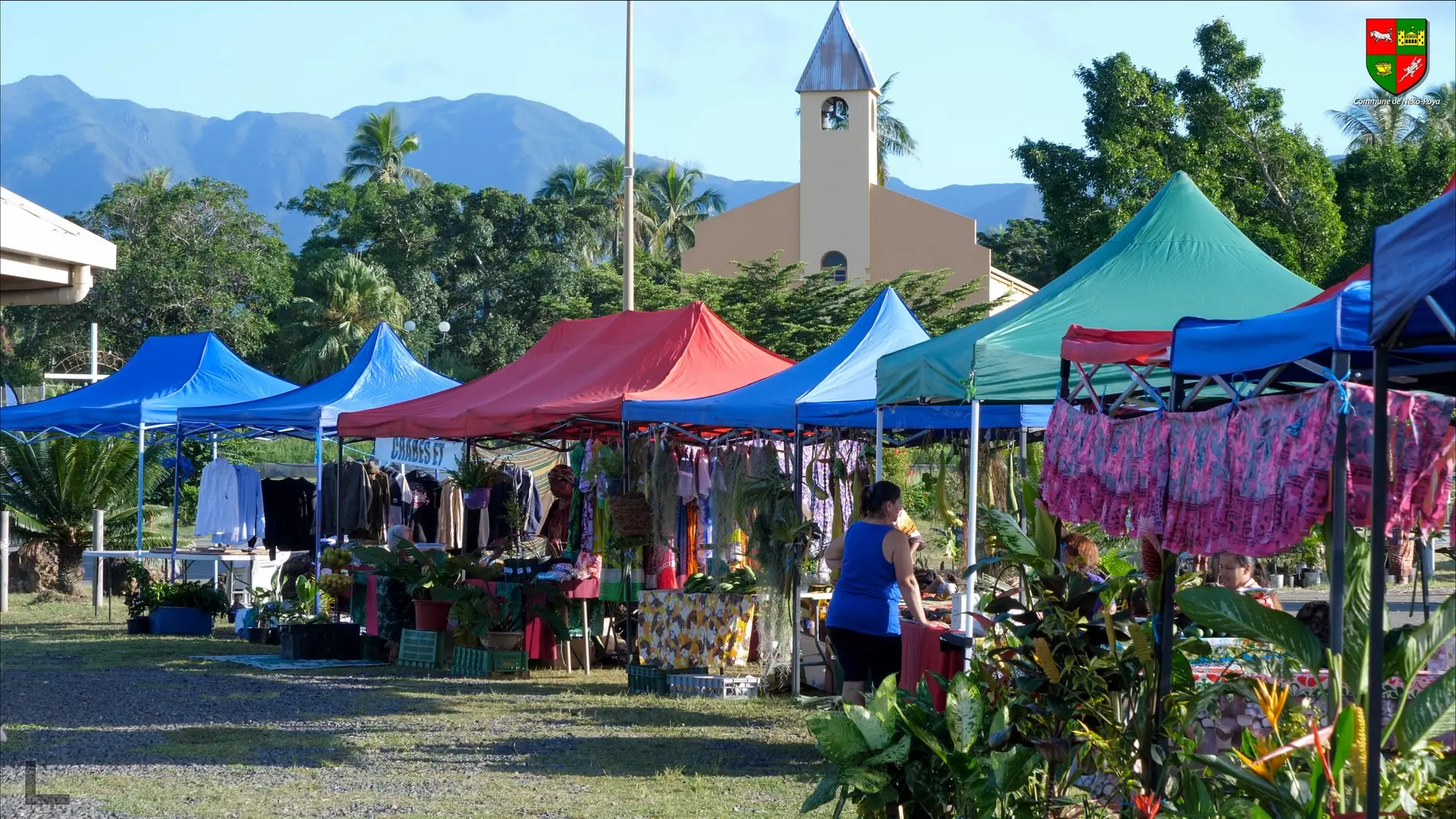 Grand marché de Poya