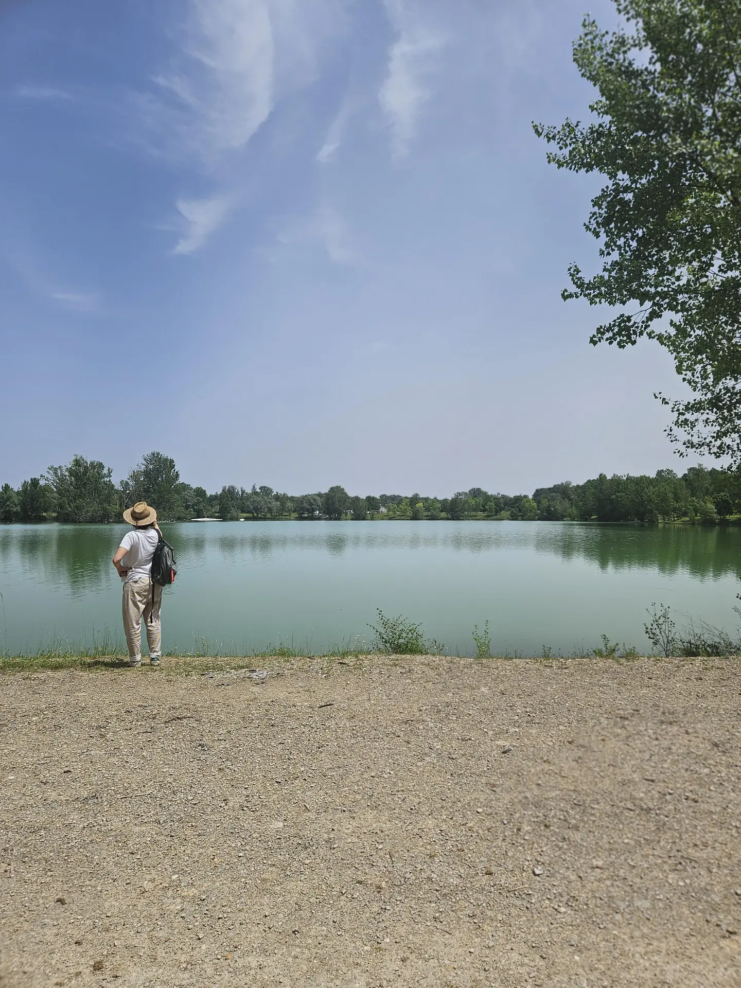 Fête de la nature : Exposition Les plantes exotiques envahissantes_Caussade