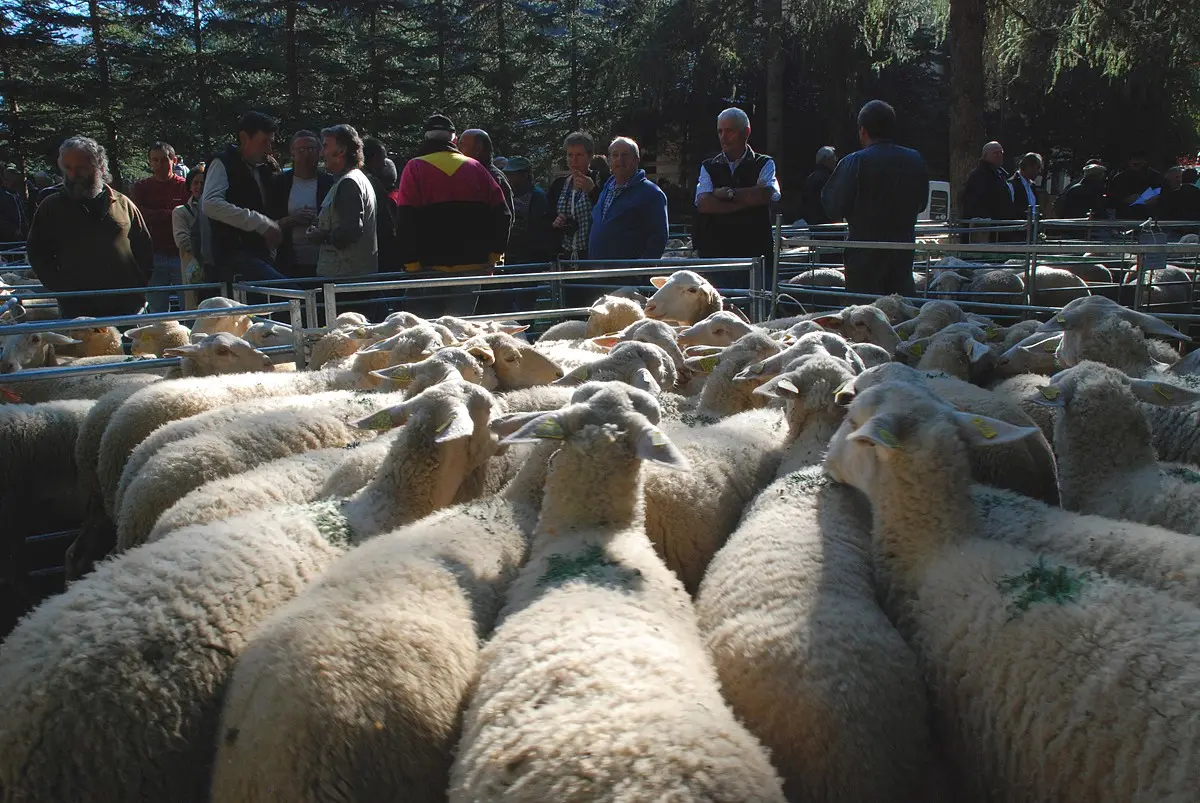 Foire aux bestiaux de La Chapelle-en-Valgaudemar