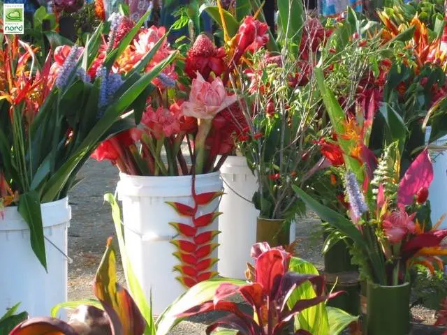 Salon de l'horticulture 2015