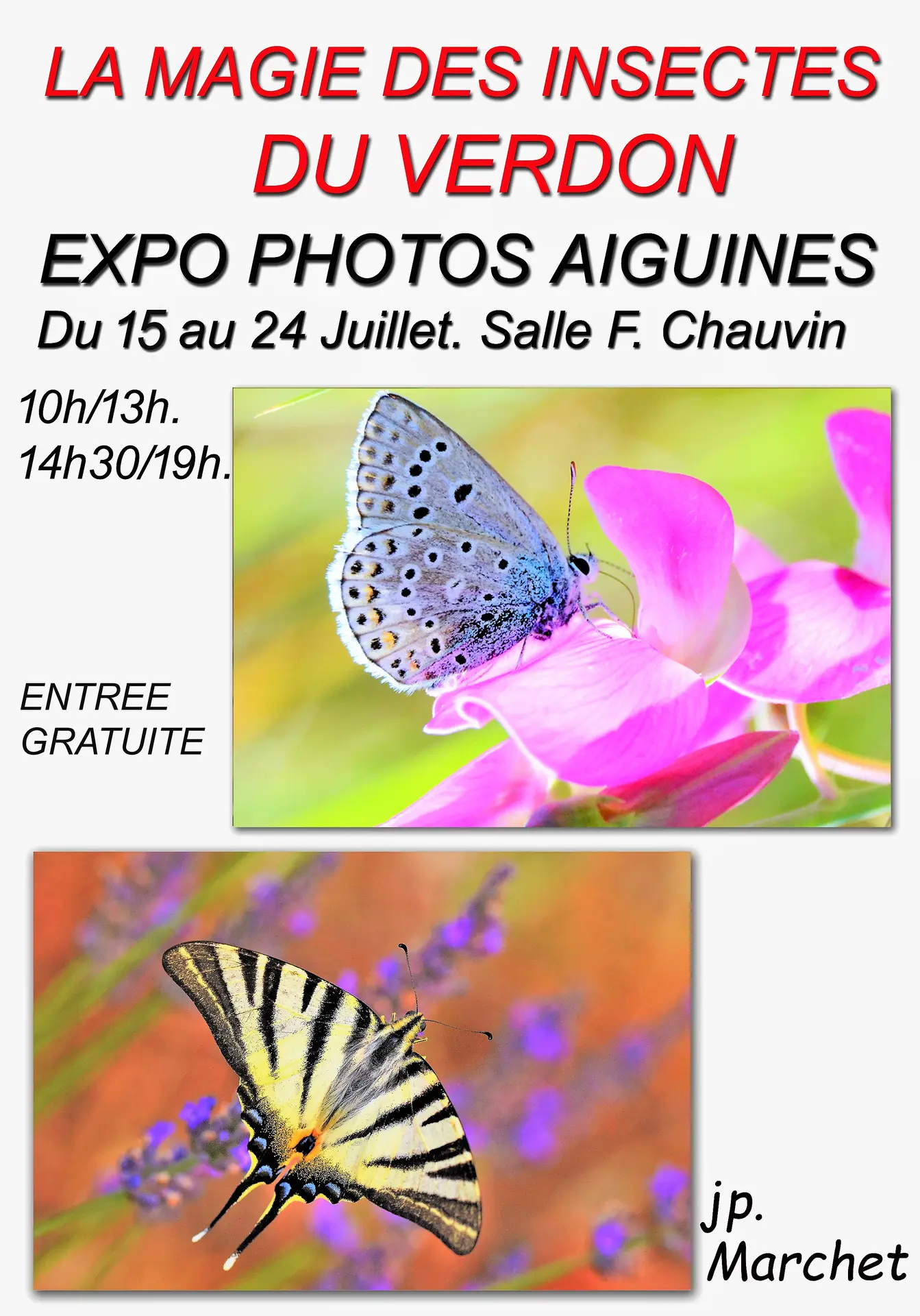 Affiche