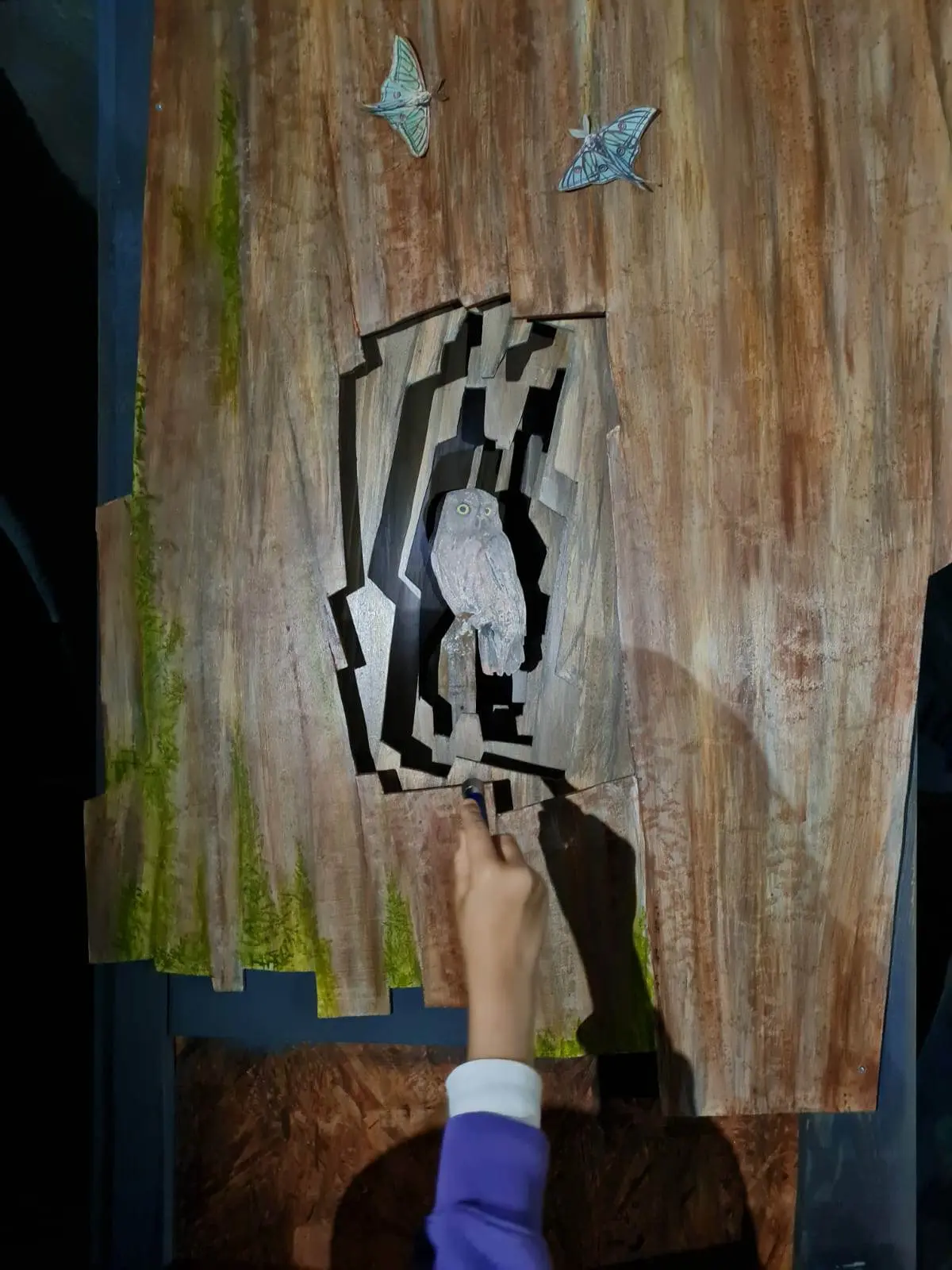 Exposition Les animaux, la nuit