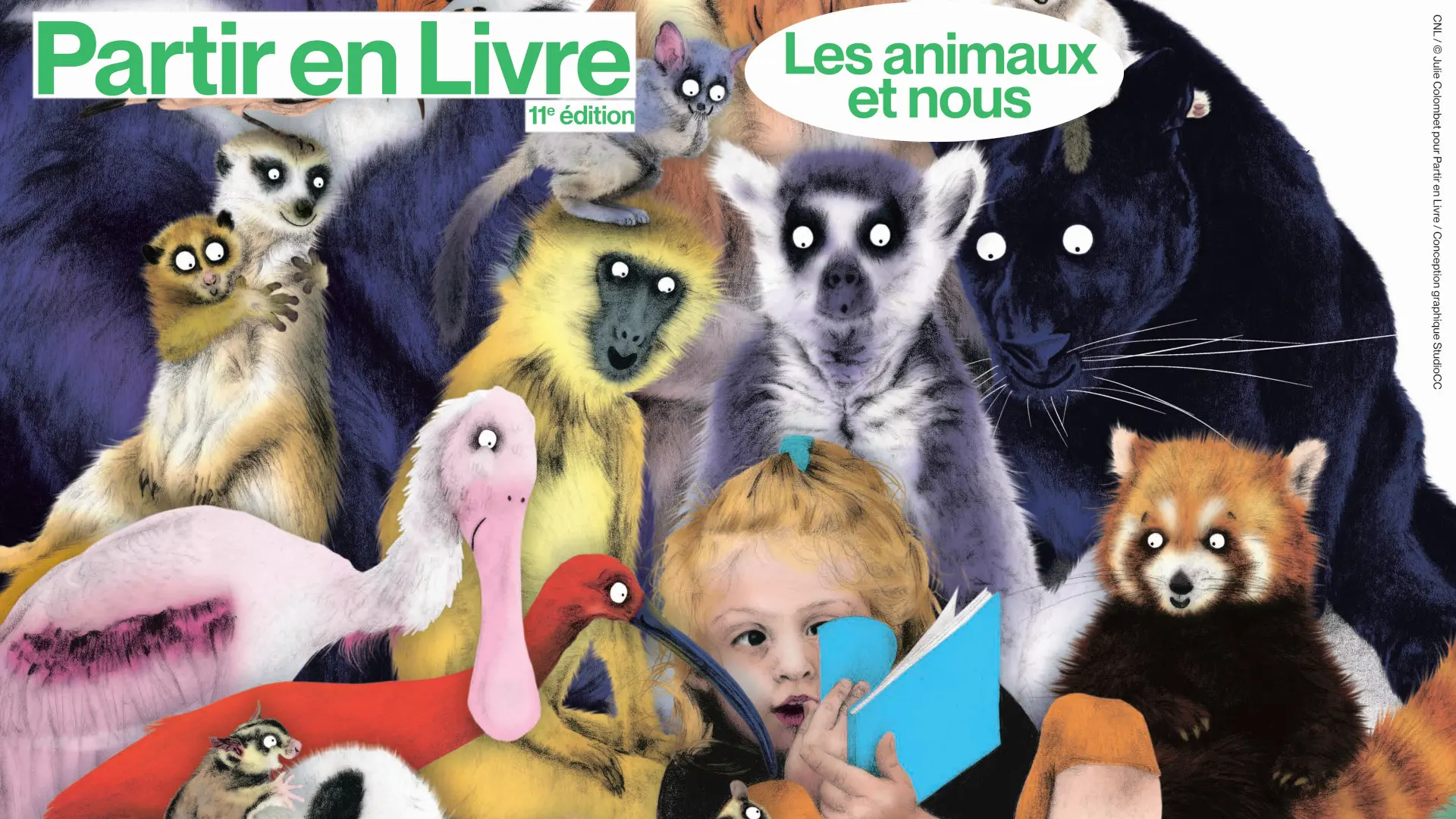 Jeu de piste : Les animaux défient les pirates !