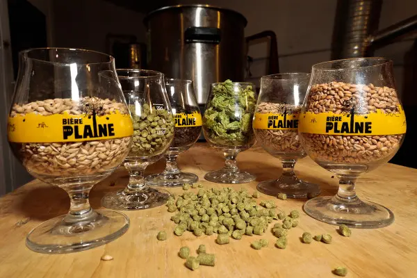 Journée de brassage