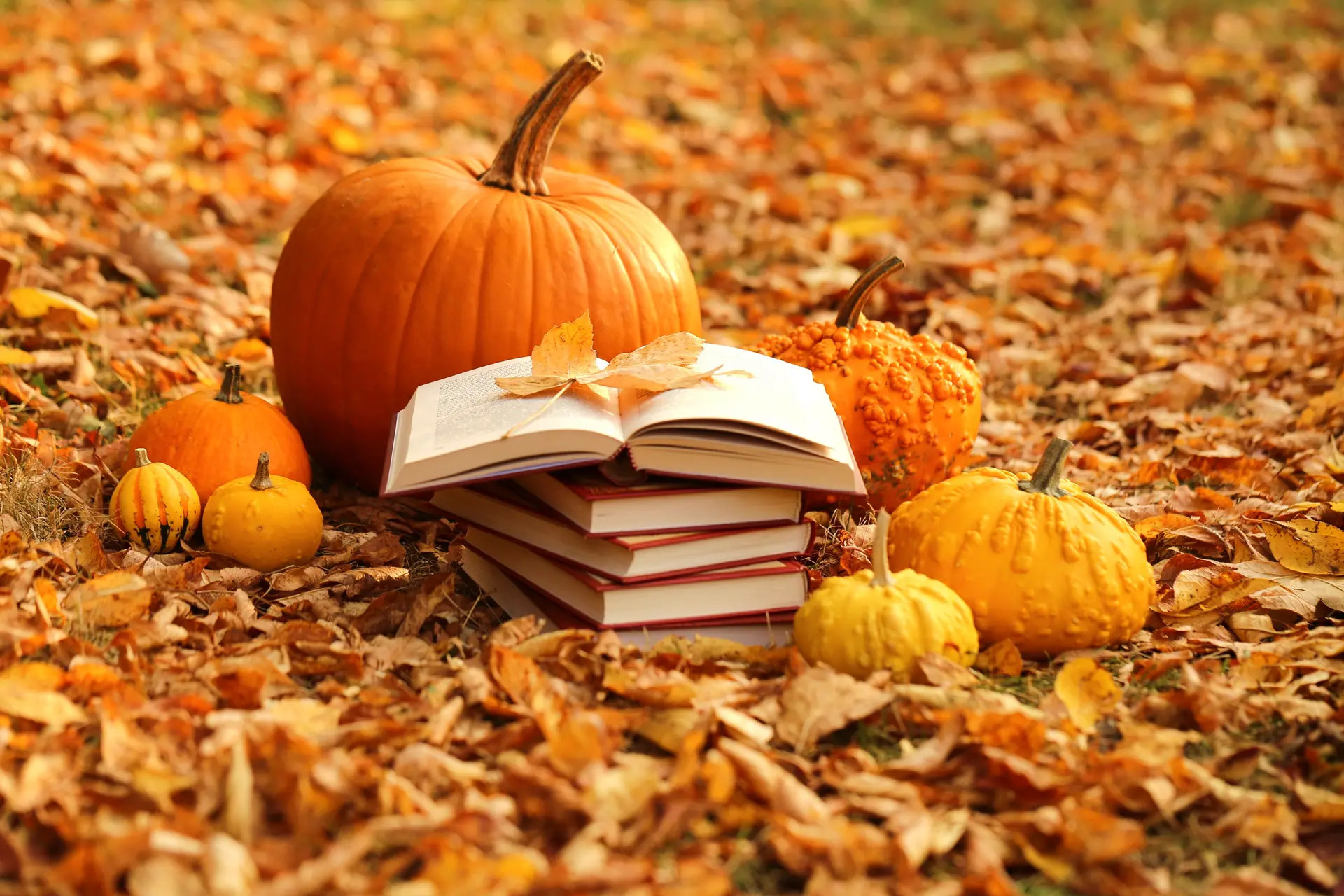 Des courges et des livres