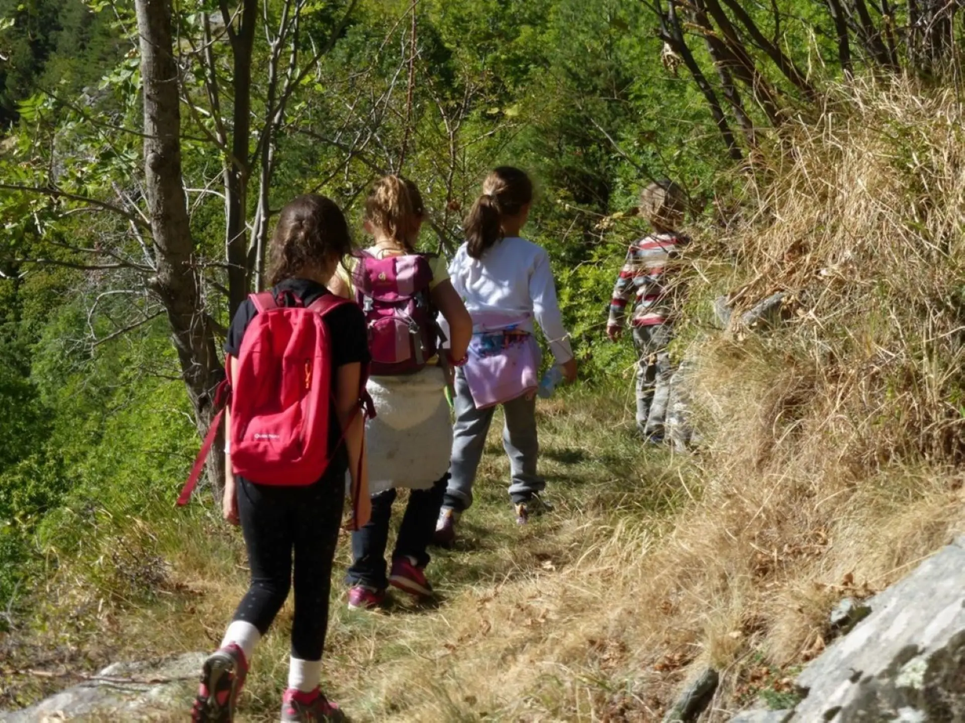 Photo balade botanique