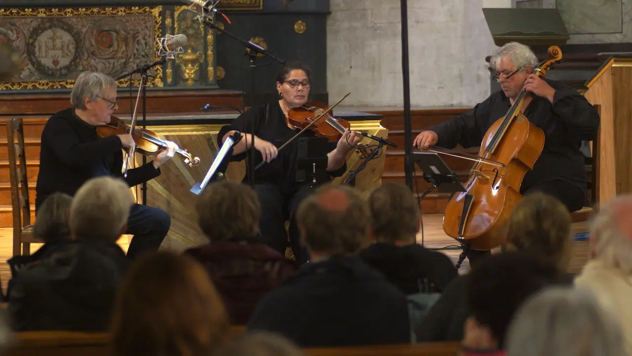 Trio Serenade Concert