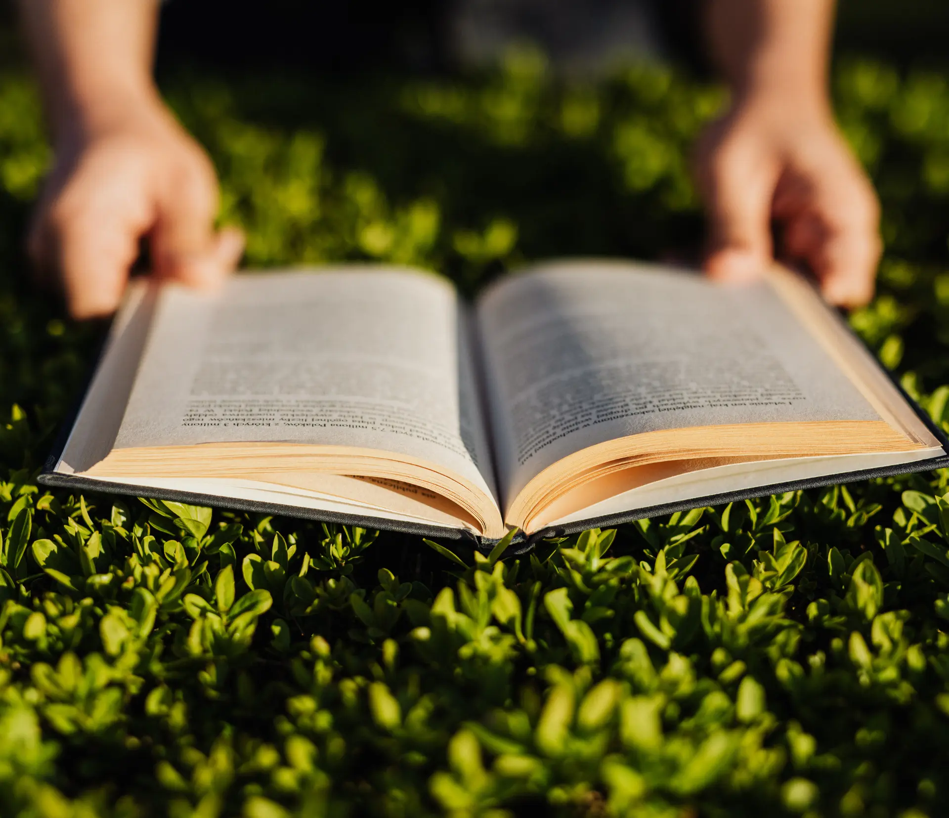 Lecture en plein air_Mont-Saxonnex