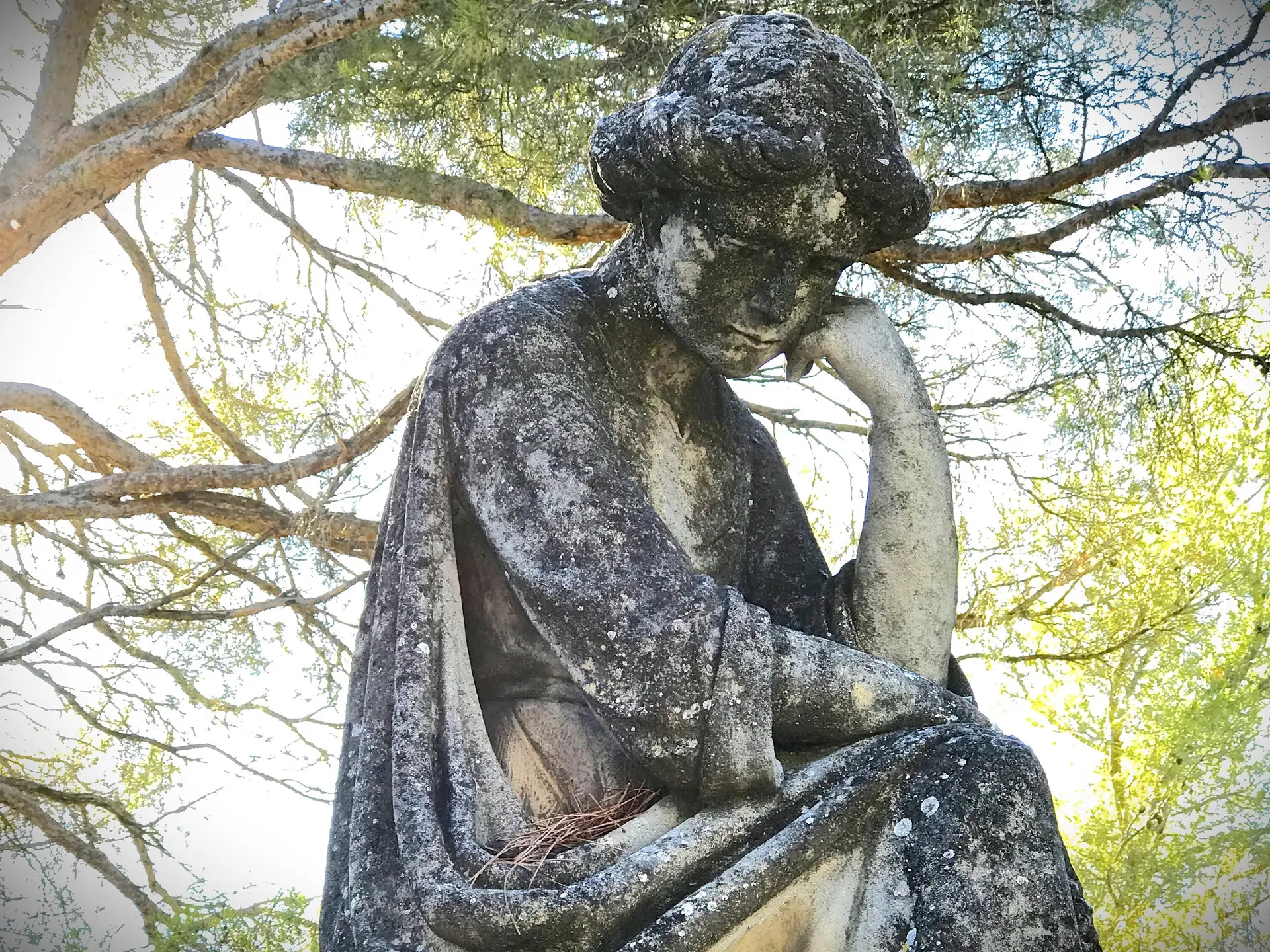 Le Printemps des Cimetières : Six pieds sous terre