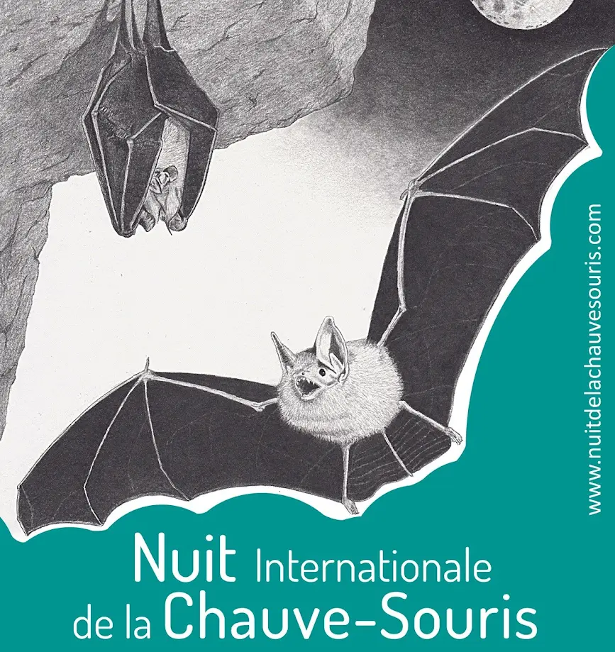 Nuit internationale de la chauve-souris