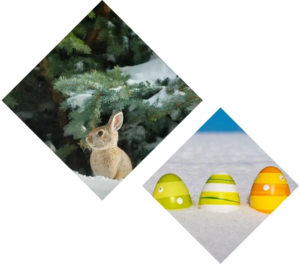 Photo paysage - Chasse aux oeufs