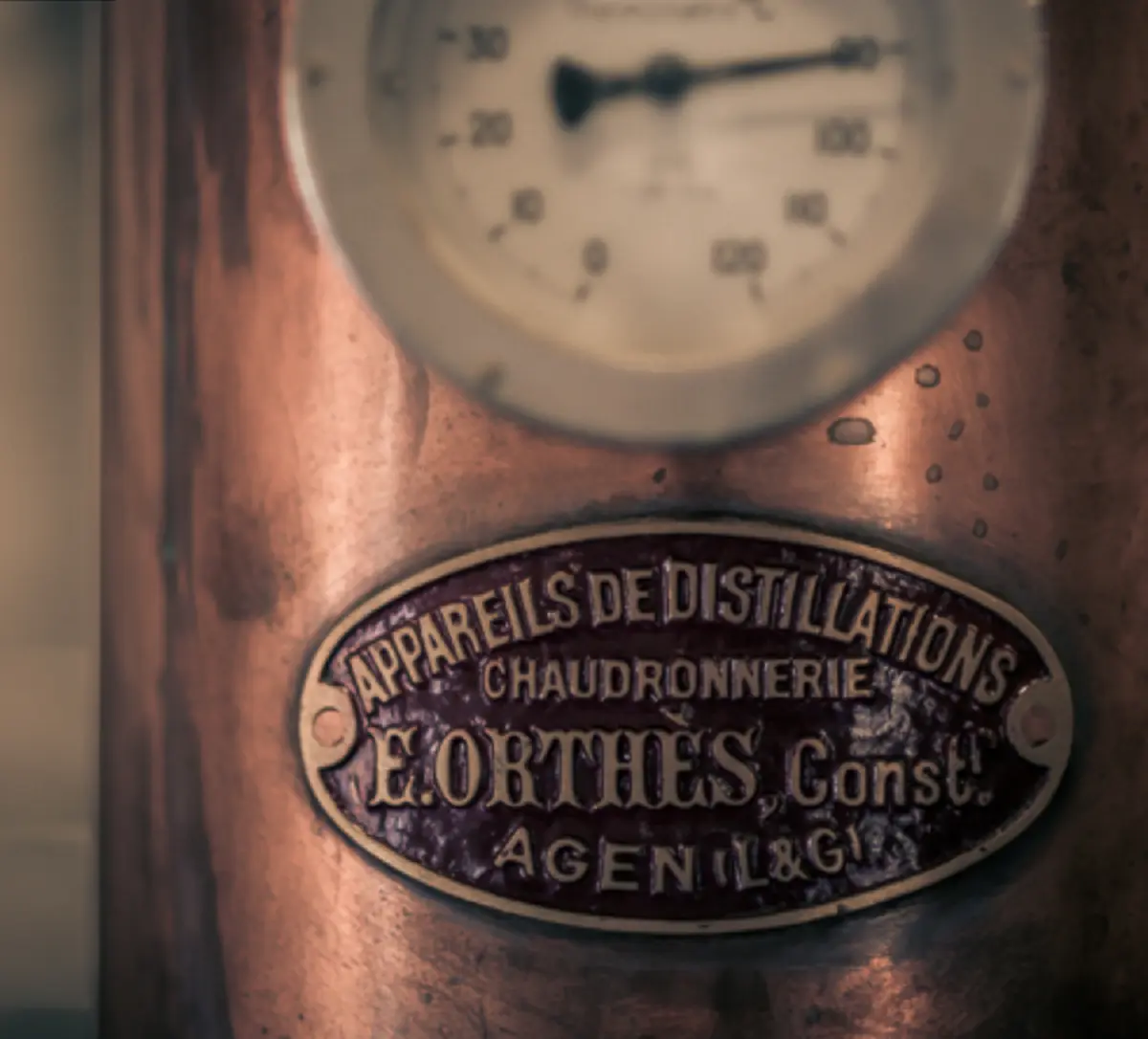 Visite guidée distillerie whisky