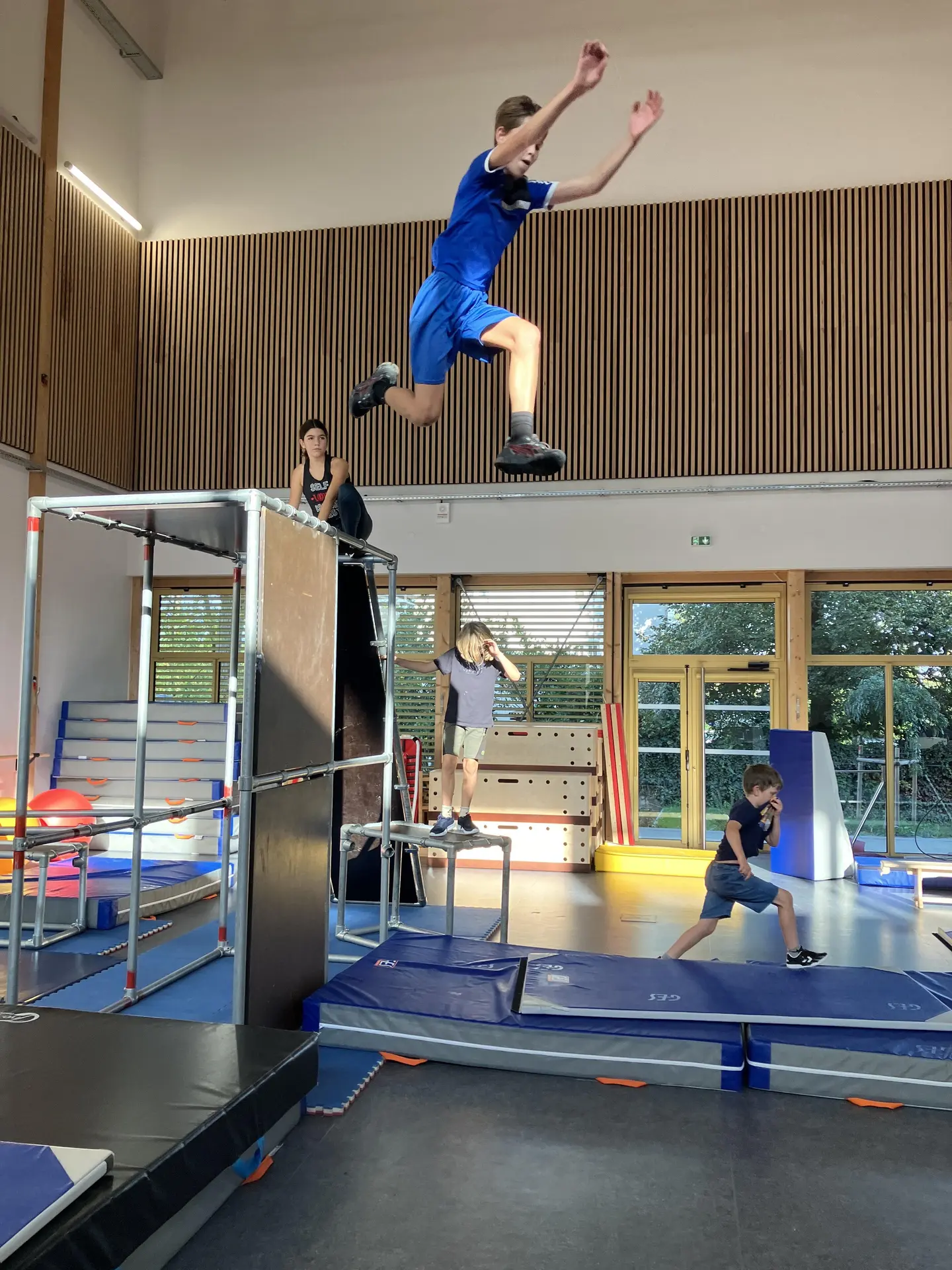 Saut