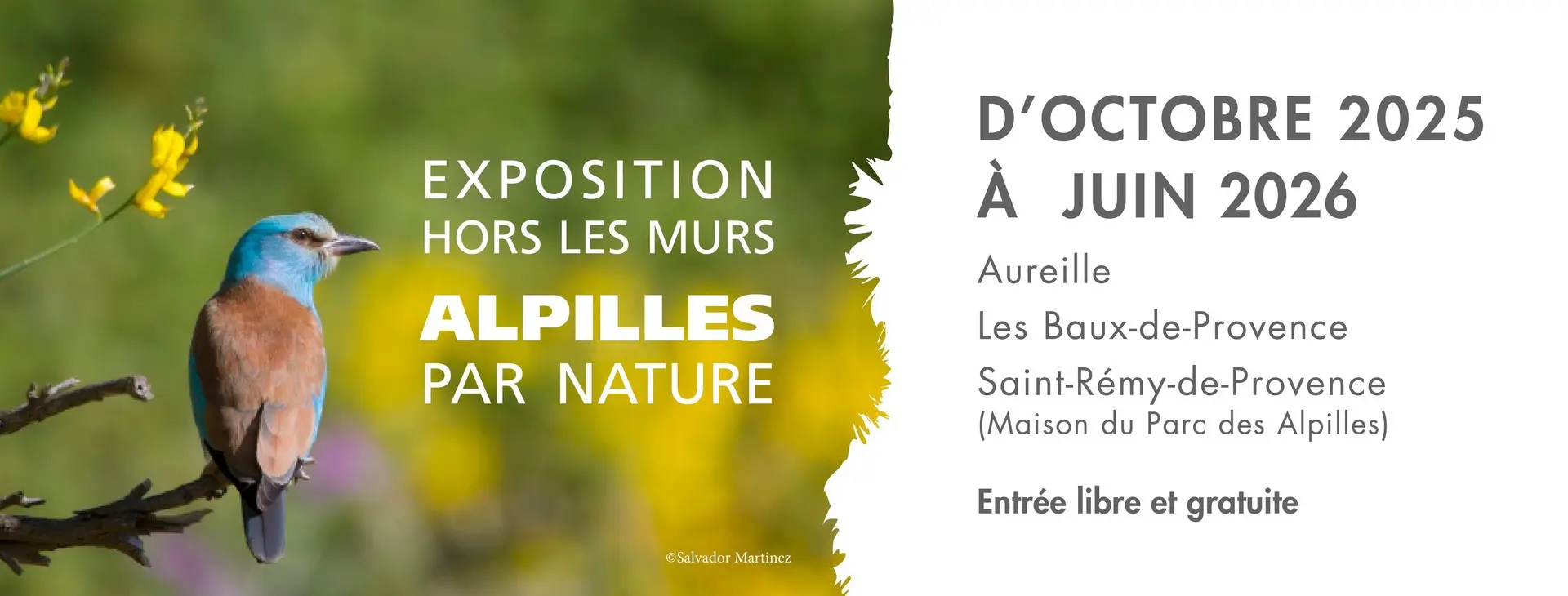 Exposition hors les murs : Les Alpilles par nature_Aureille_10.2025 à 06.20266