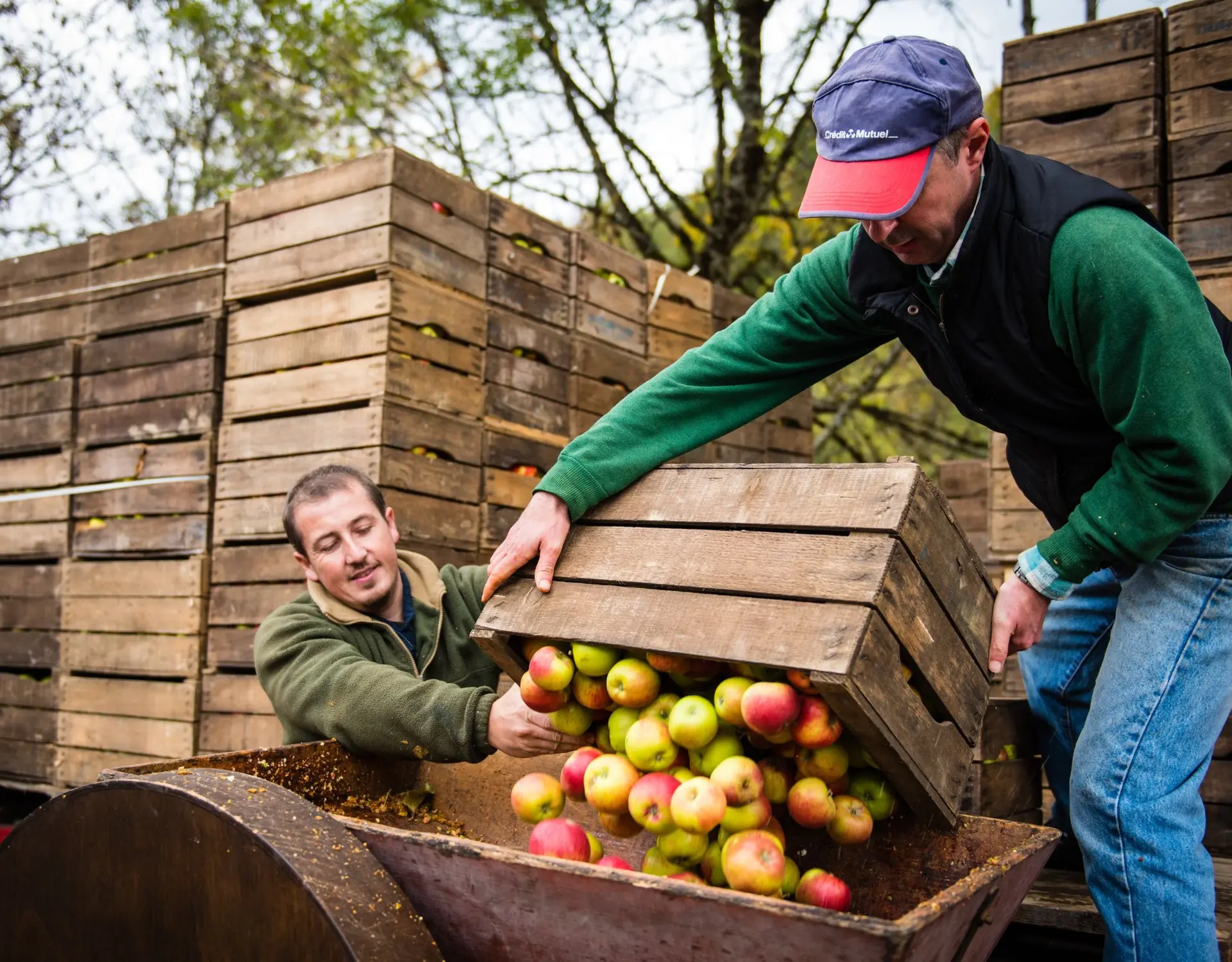 deux hommes vidant des cagettes de pomme
