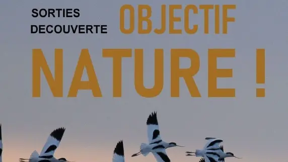 Sortie « Objectif Nature » -