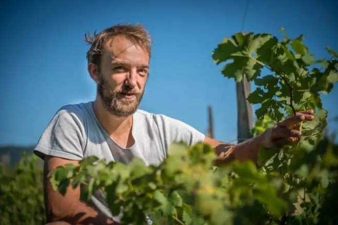 Ferme ouverte « Miels et vins »