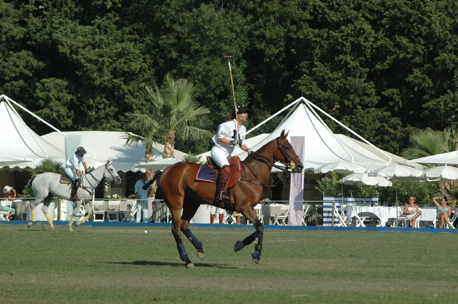 Womens polo series