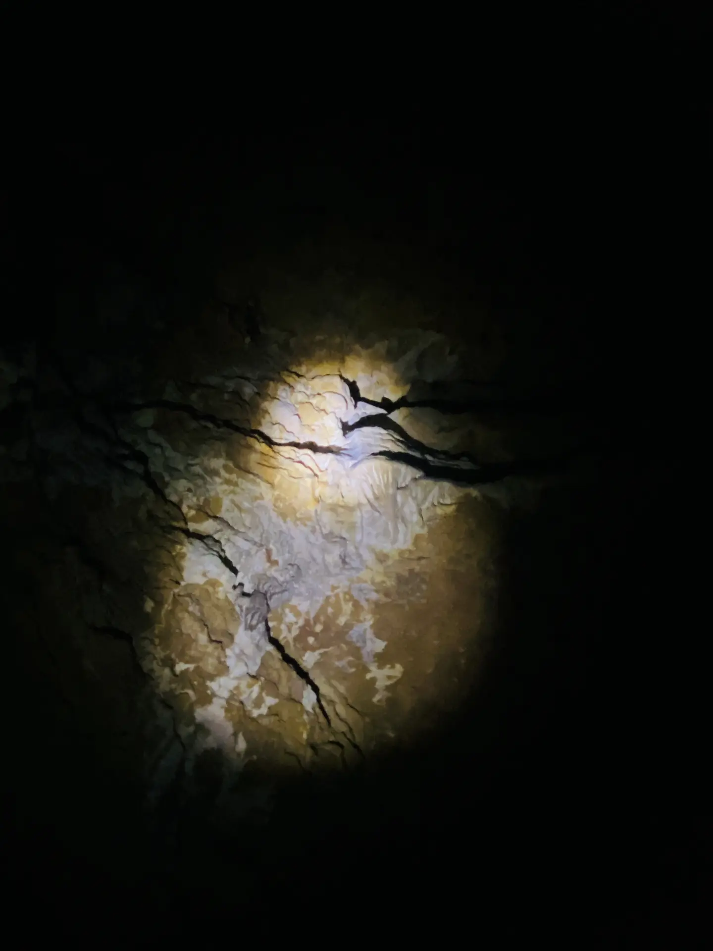 Drapés de concrétions vus à la lampe de poche