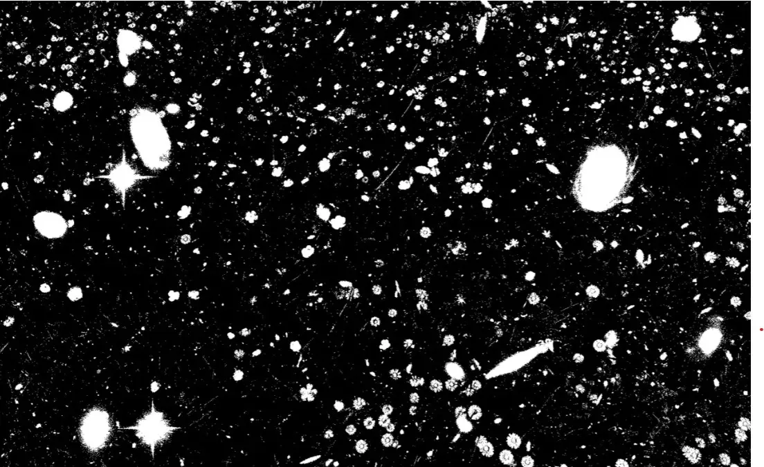 Exposition au FRAC Sud  Champ étoilé