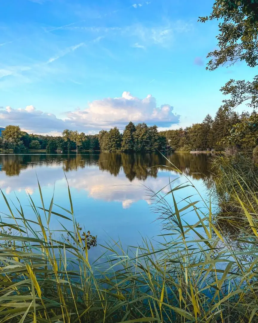 Lac des dronières