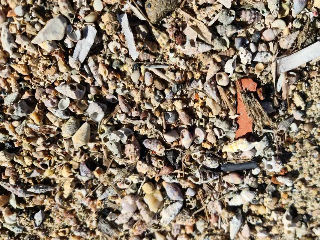 Dans la peau d'un explorateur