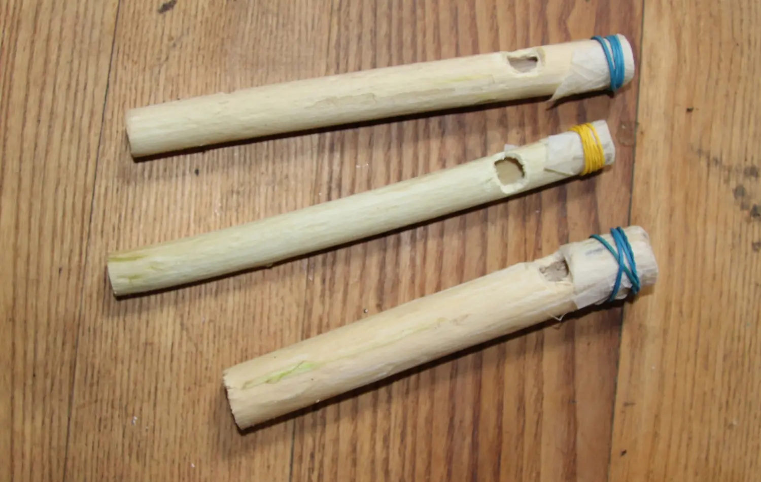 Balade nature créative au lac