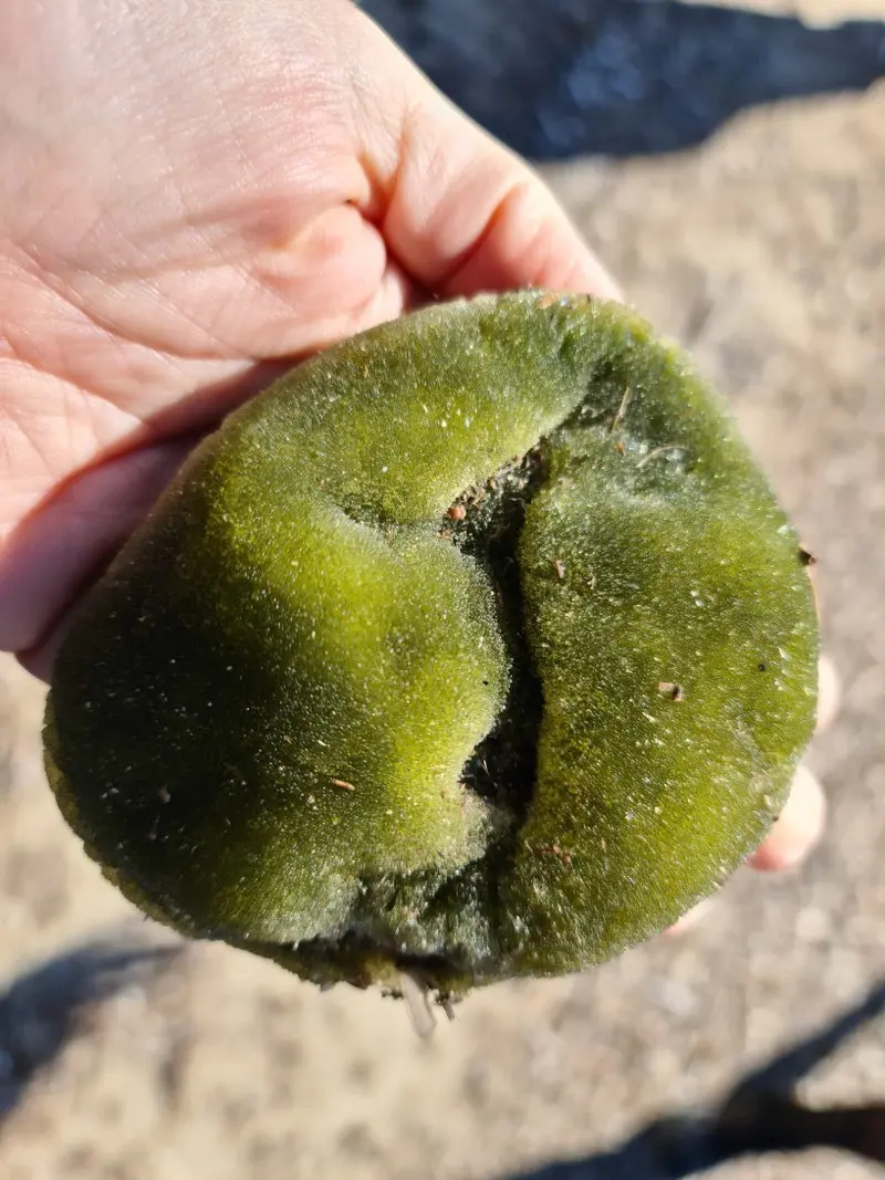 Dans la peau d'un explorateur